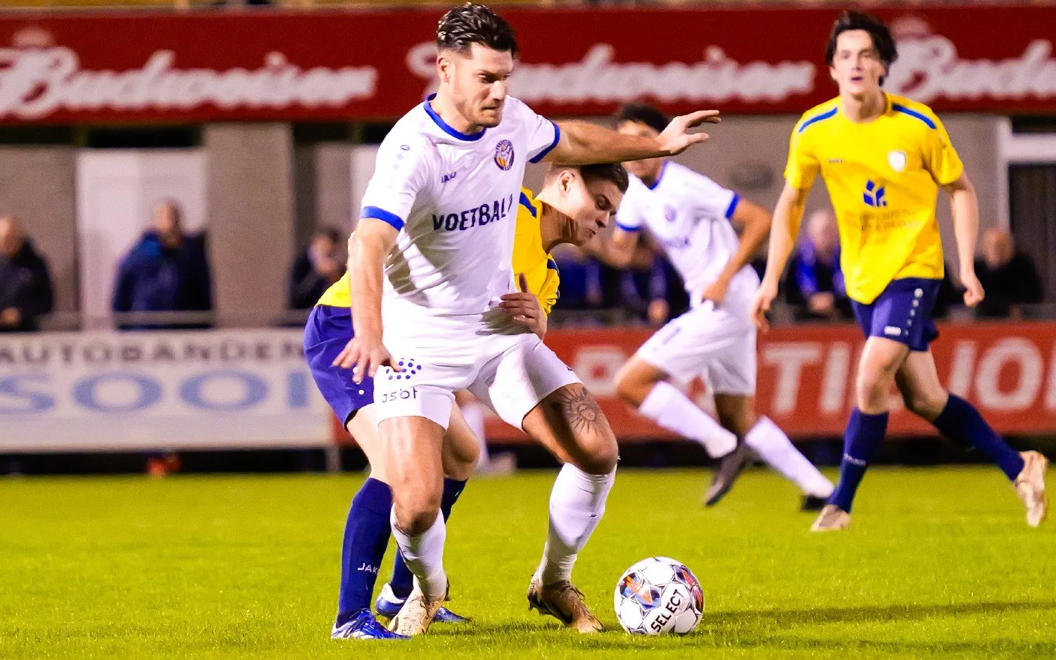 20241019dekempenverbroederinggeelthijsvanpol