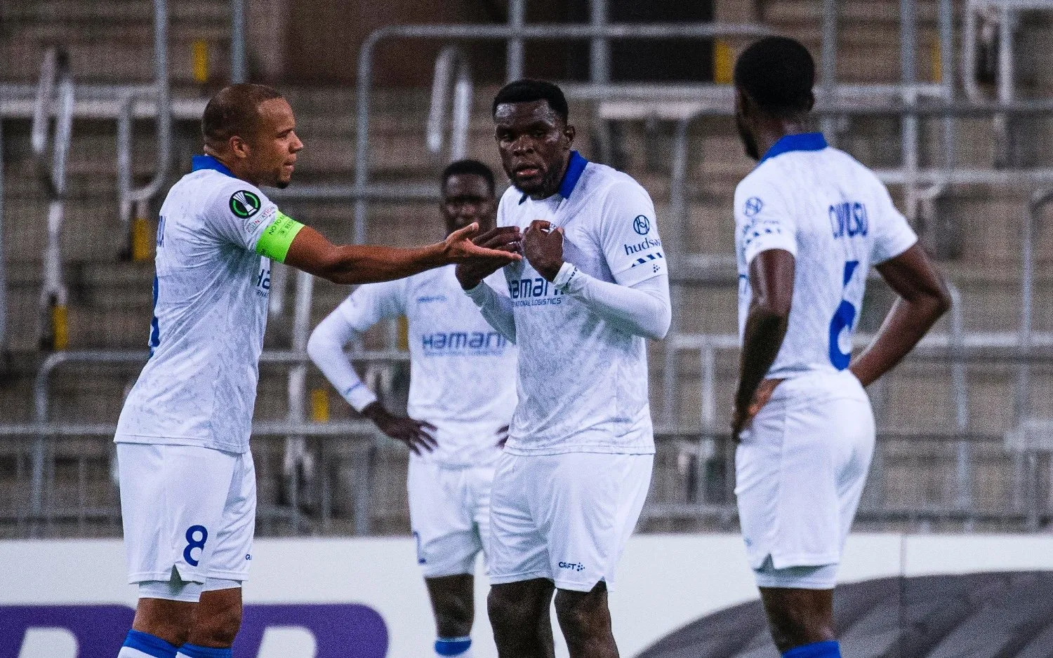 221013djurgardensaagent