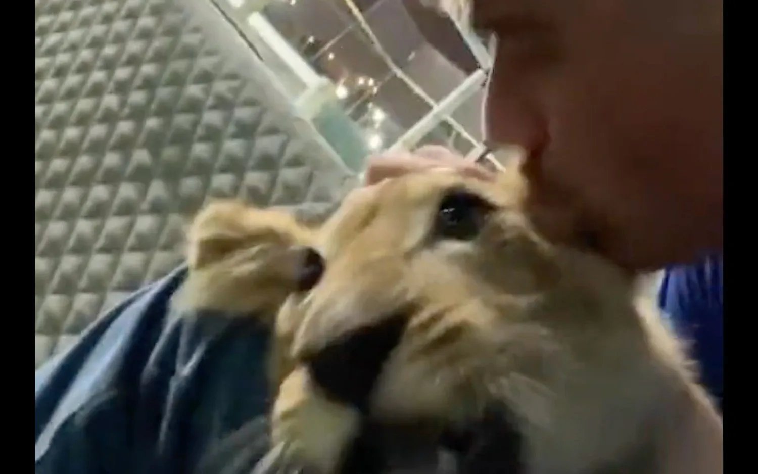 221121screenshotleeuw