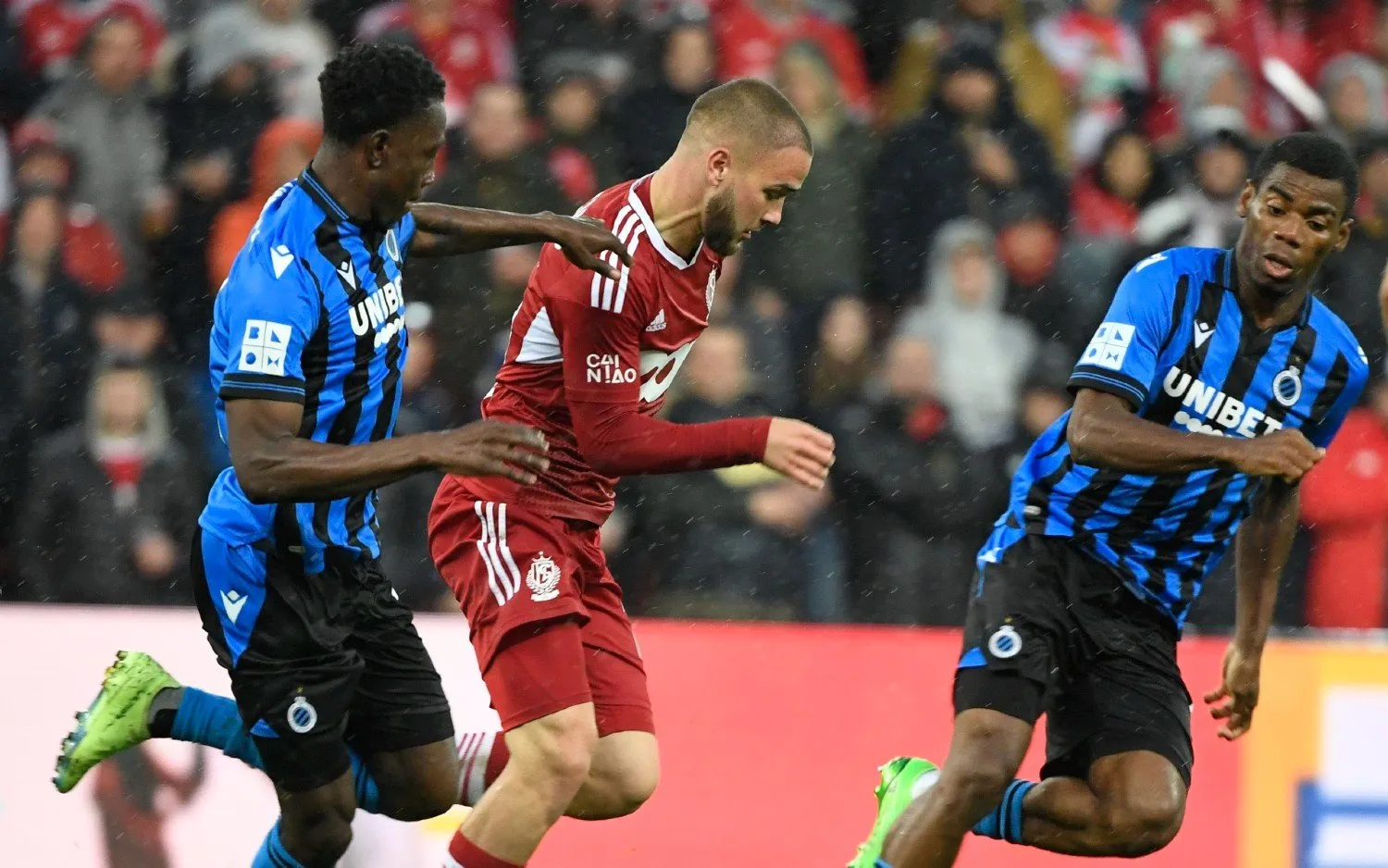 221219raskinsowahonyedika