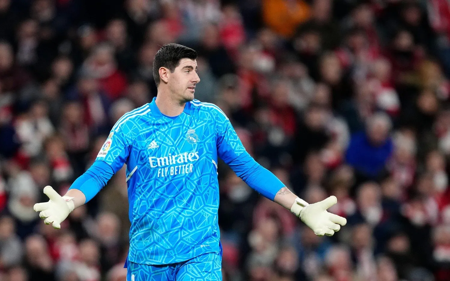 230221thibautcourtois
