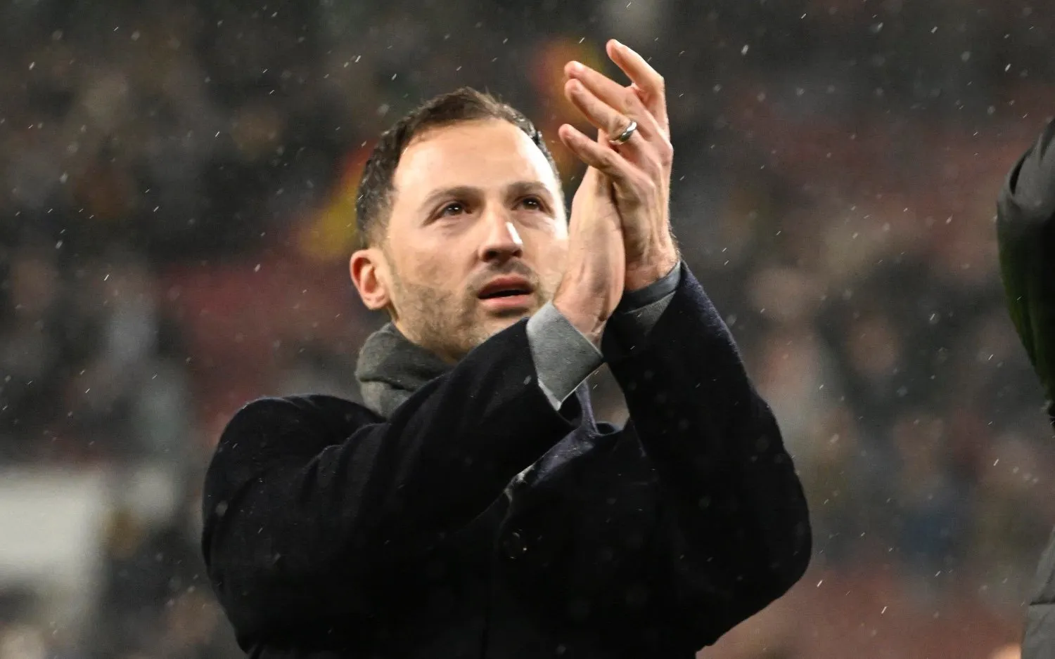 230412domenicotedesco