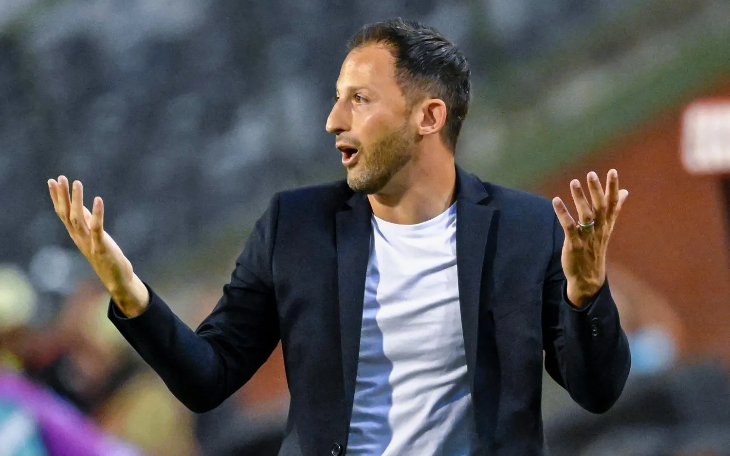 230717domenicotedesco