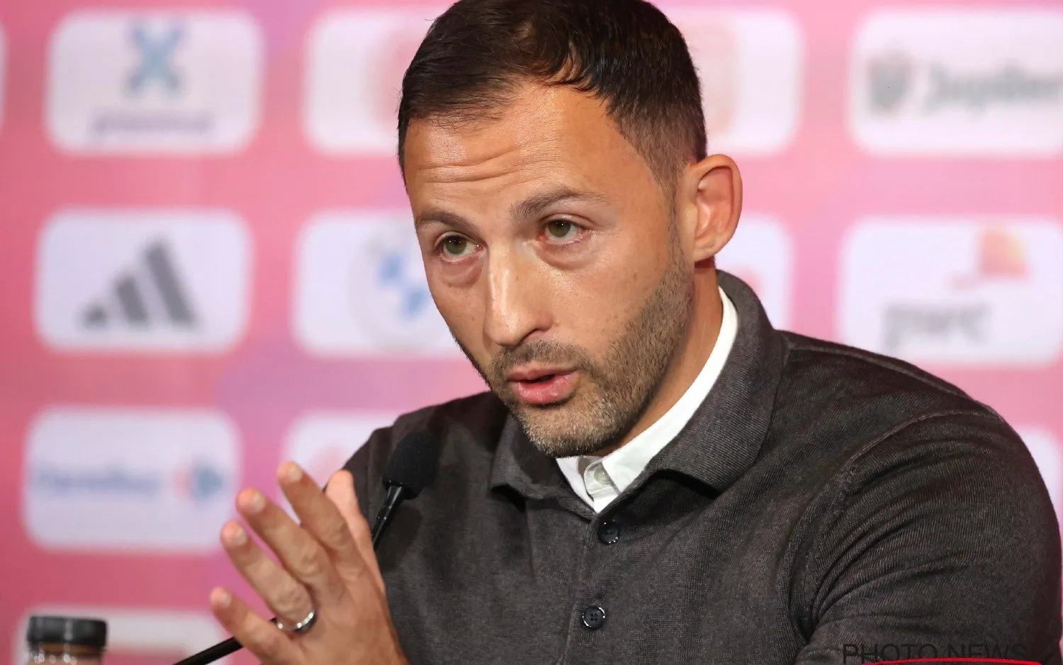 231010domenicotedesco