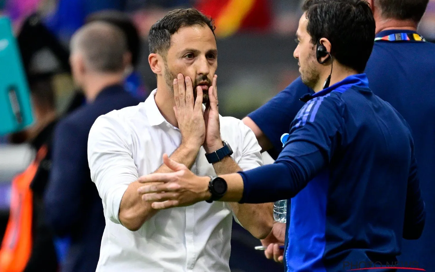 240619domenicotedesco