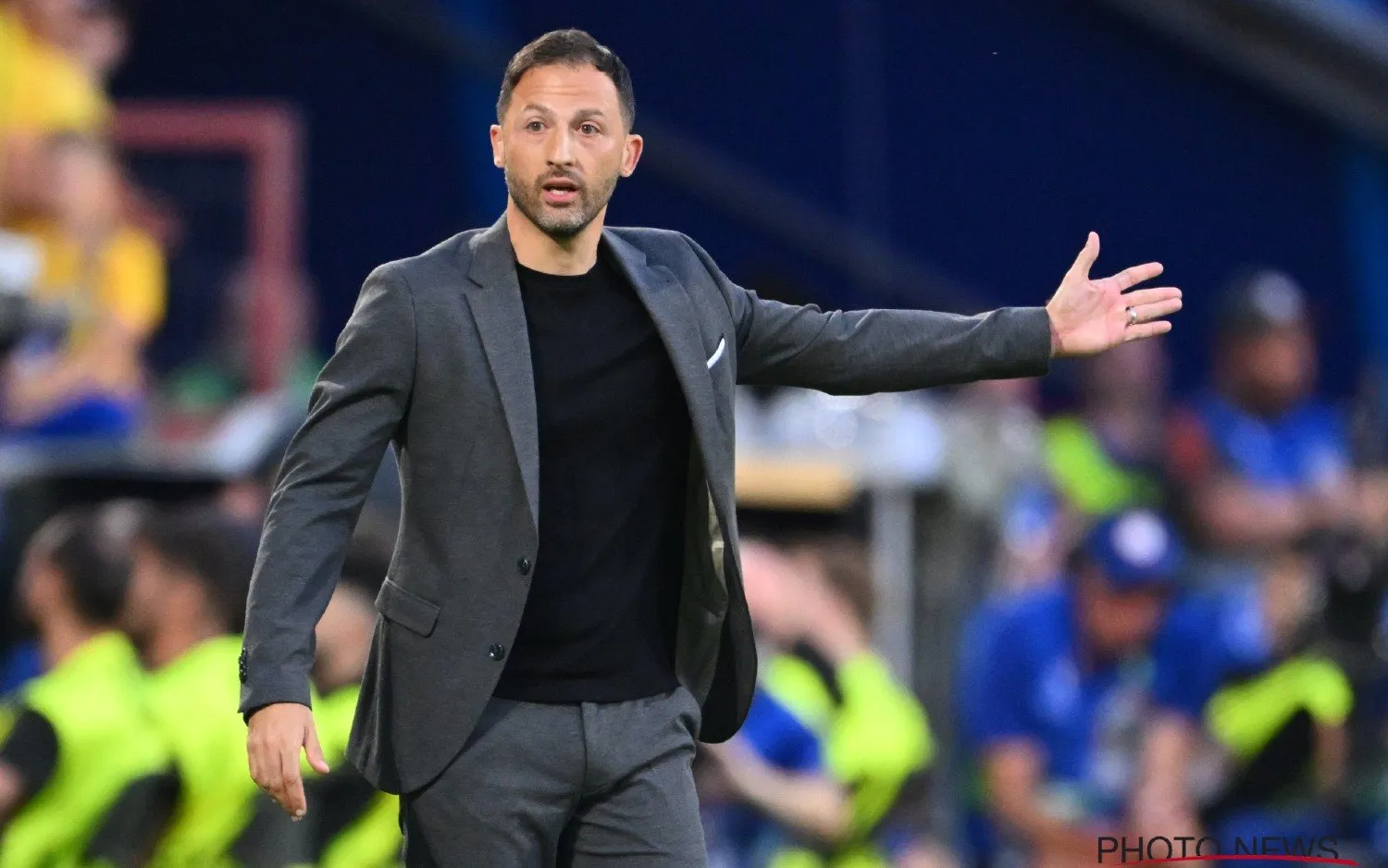 240623domenicotedesco