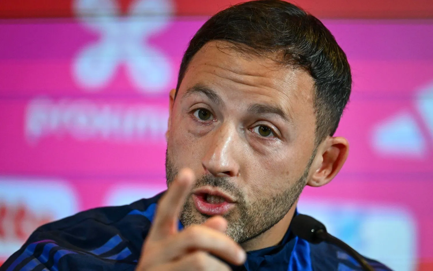 241013tedescodomenico