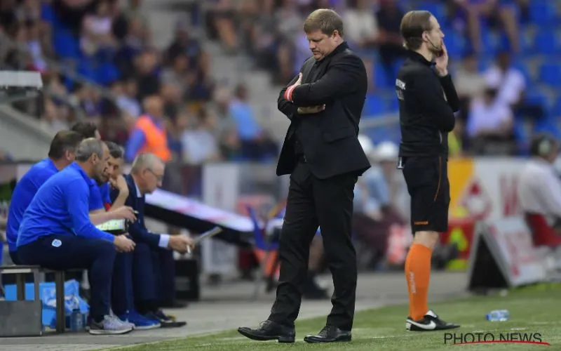 heinvanhaezebrouck017463