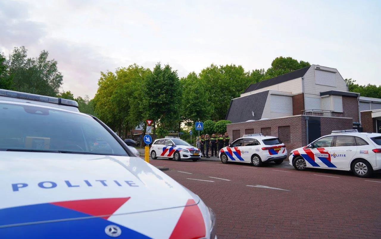 2025 05 25 meesters multi media fotos auto beschotten vincent van goghstraat hintham6