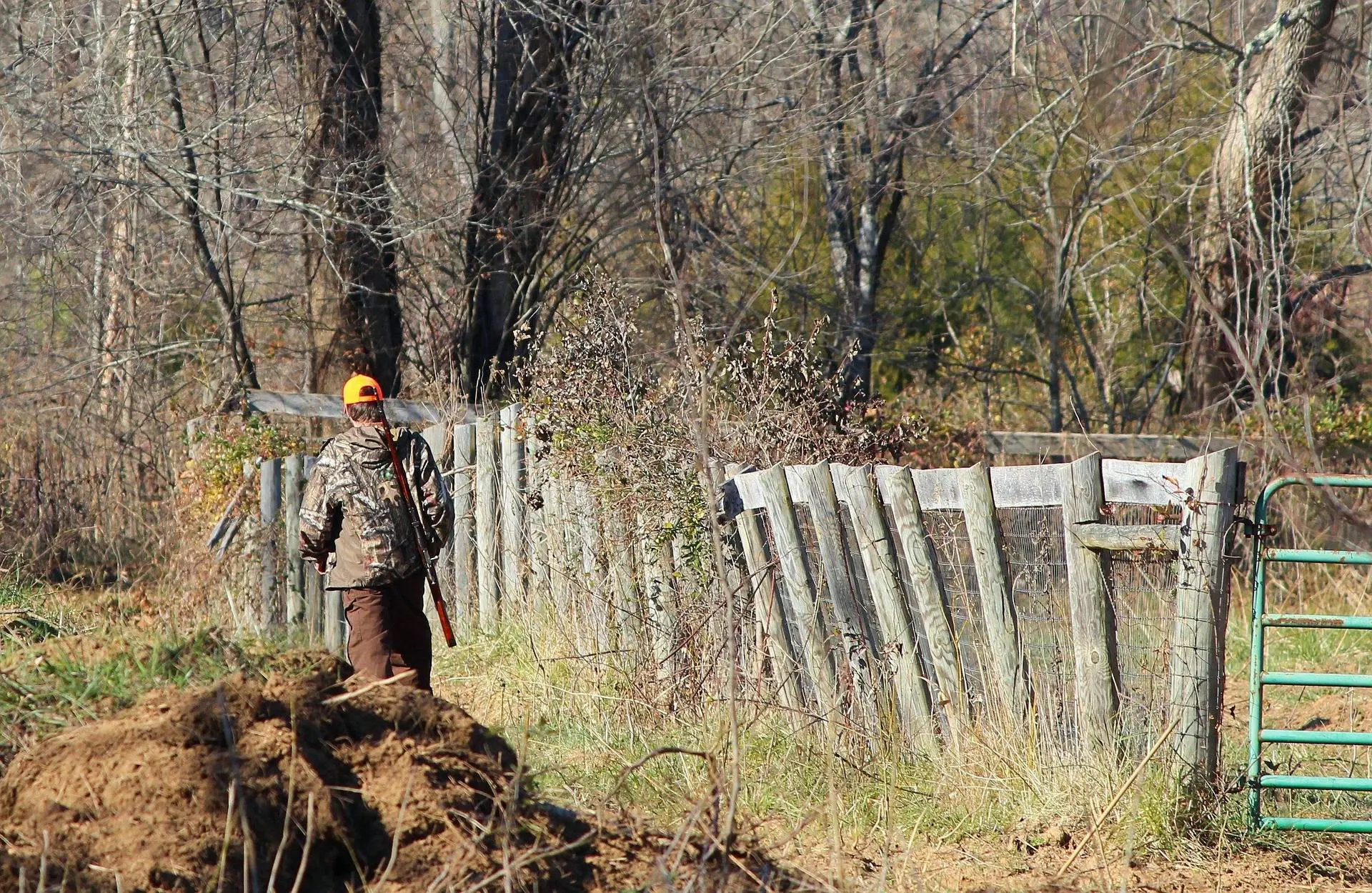 jamesdemers-hunter-67002_1920