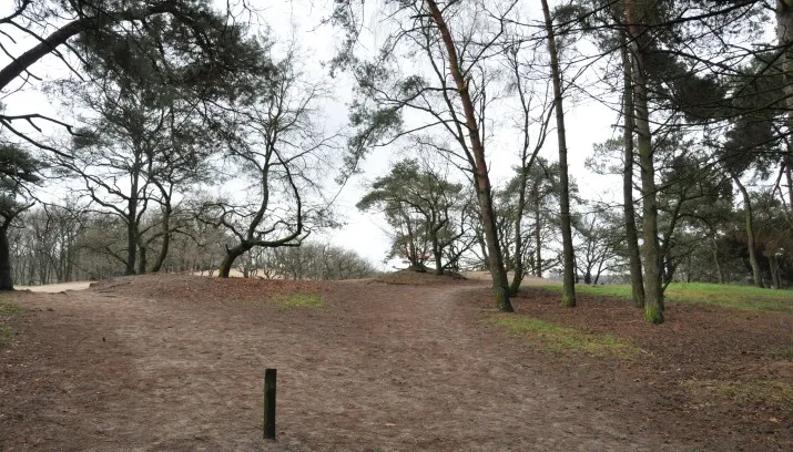 duinen 715x408