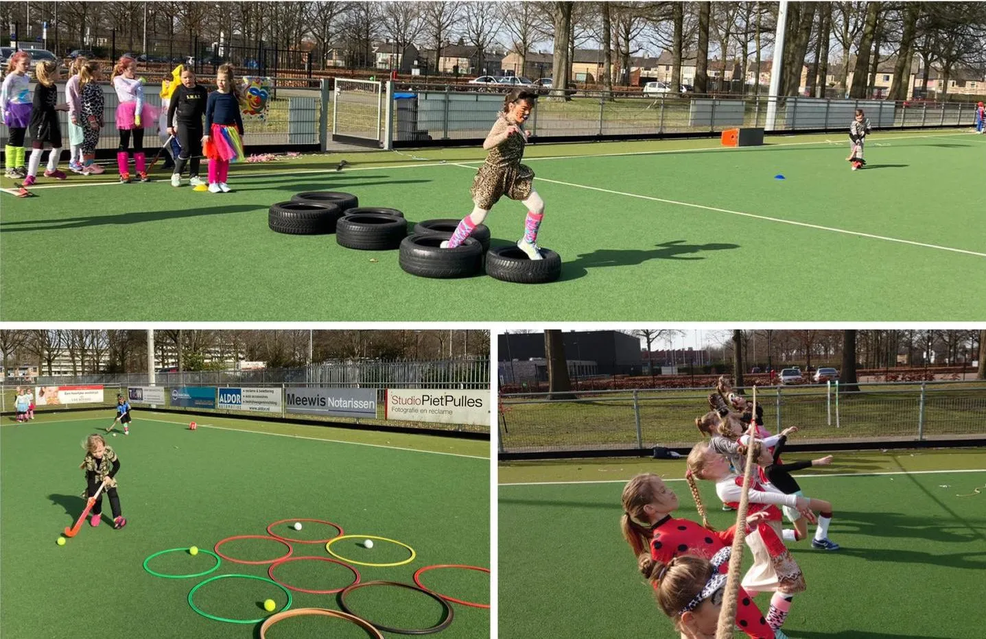 hockey1