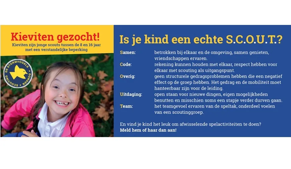 kieviten