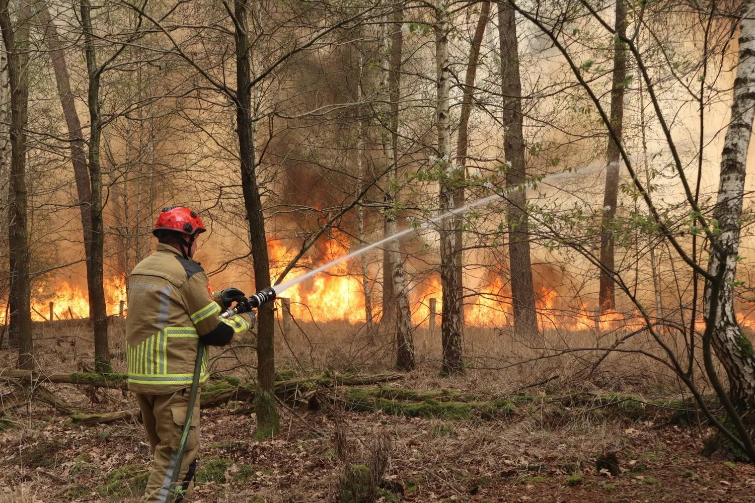 Brandweer massaal uitgerukt voor bosbrand in Drunen