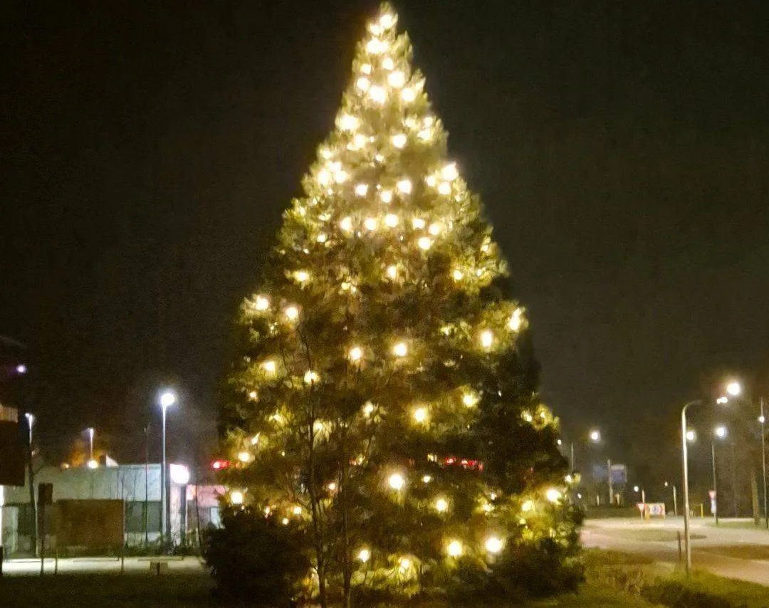 604776915_1319952076832675_7759536732791117078_n