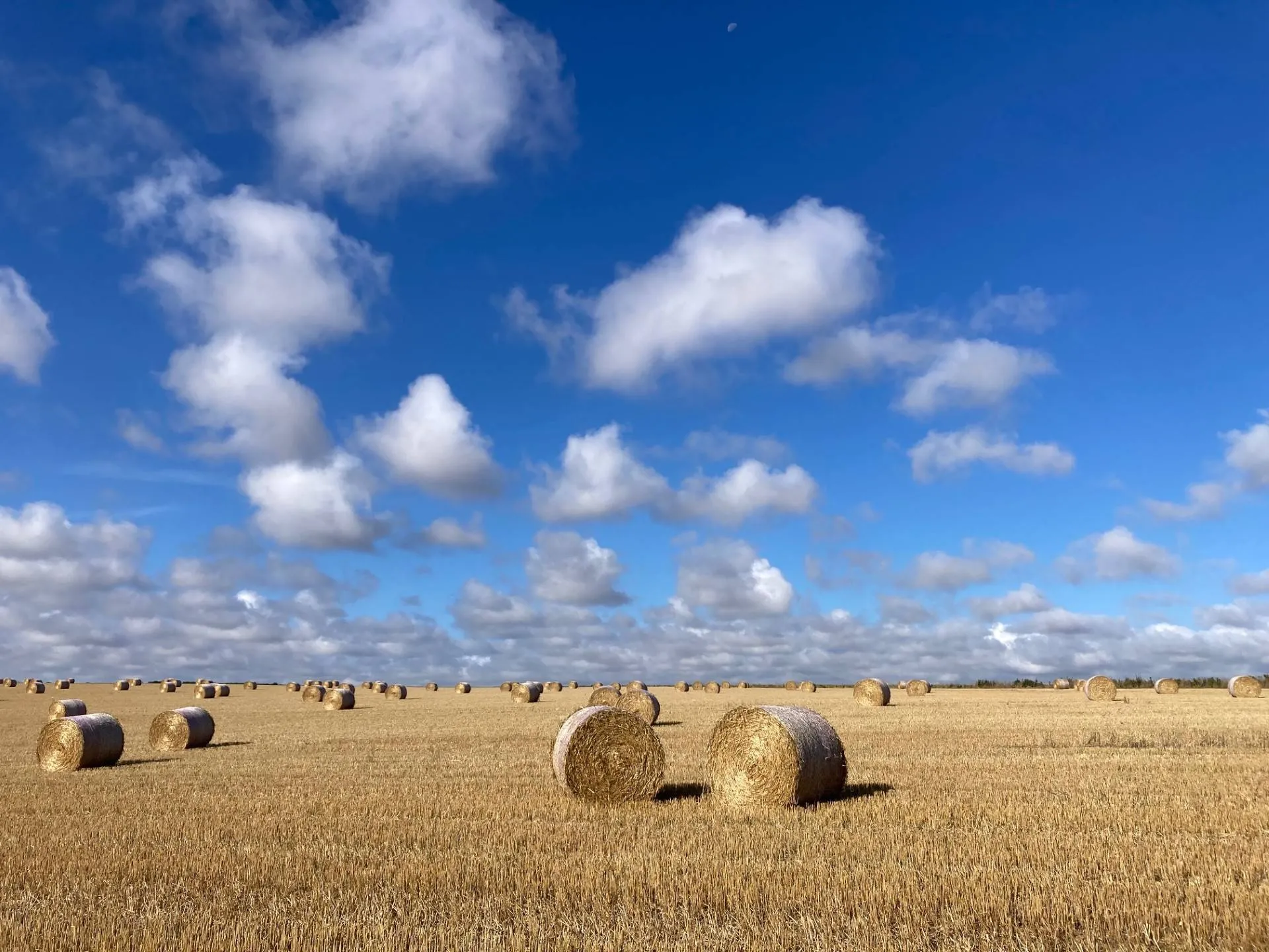 Jac Vermeer KUS 2024