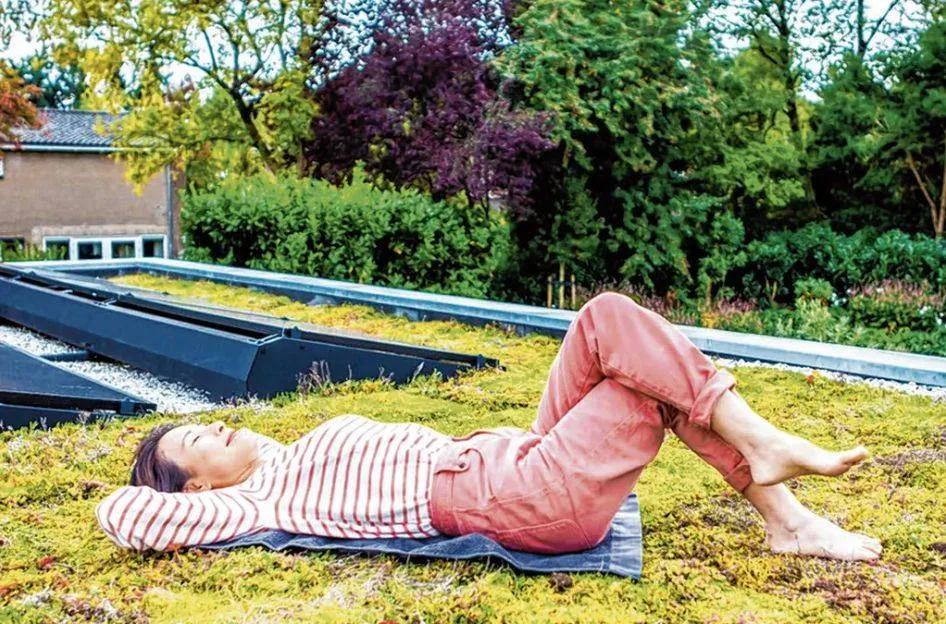 Schermafbeelding 2026-03-06 143330