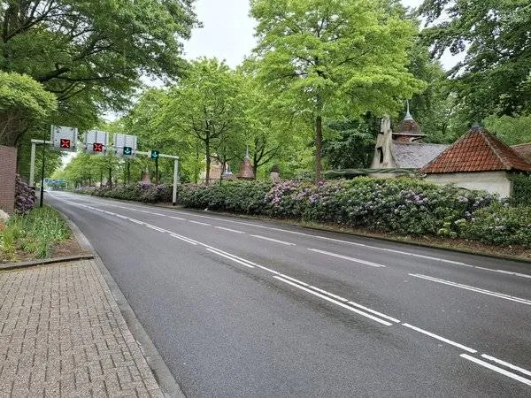 csm_rhodondendrons_1e6833695e