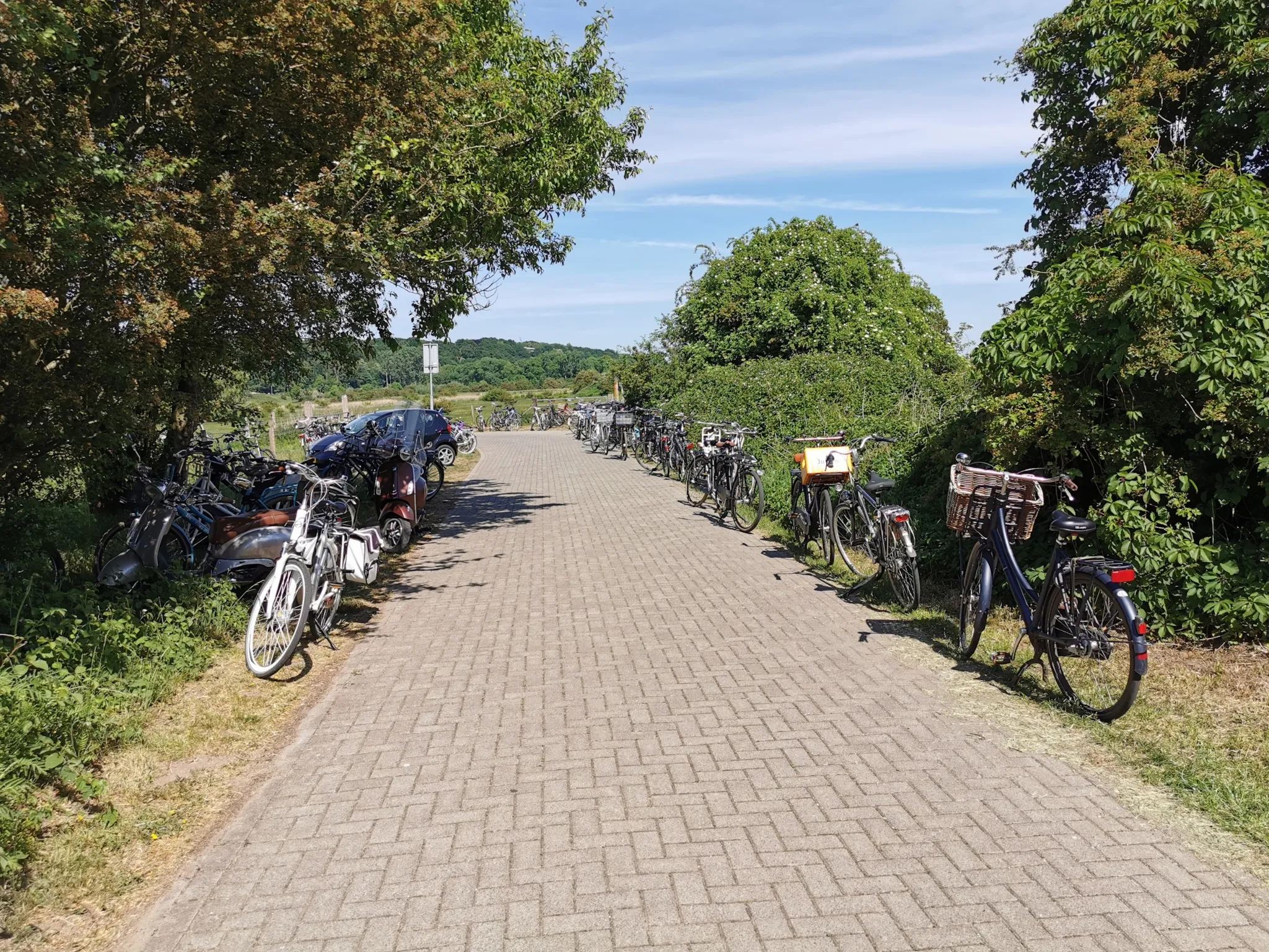 21 05 druk rijn 3