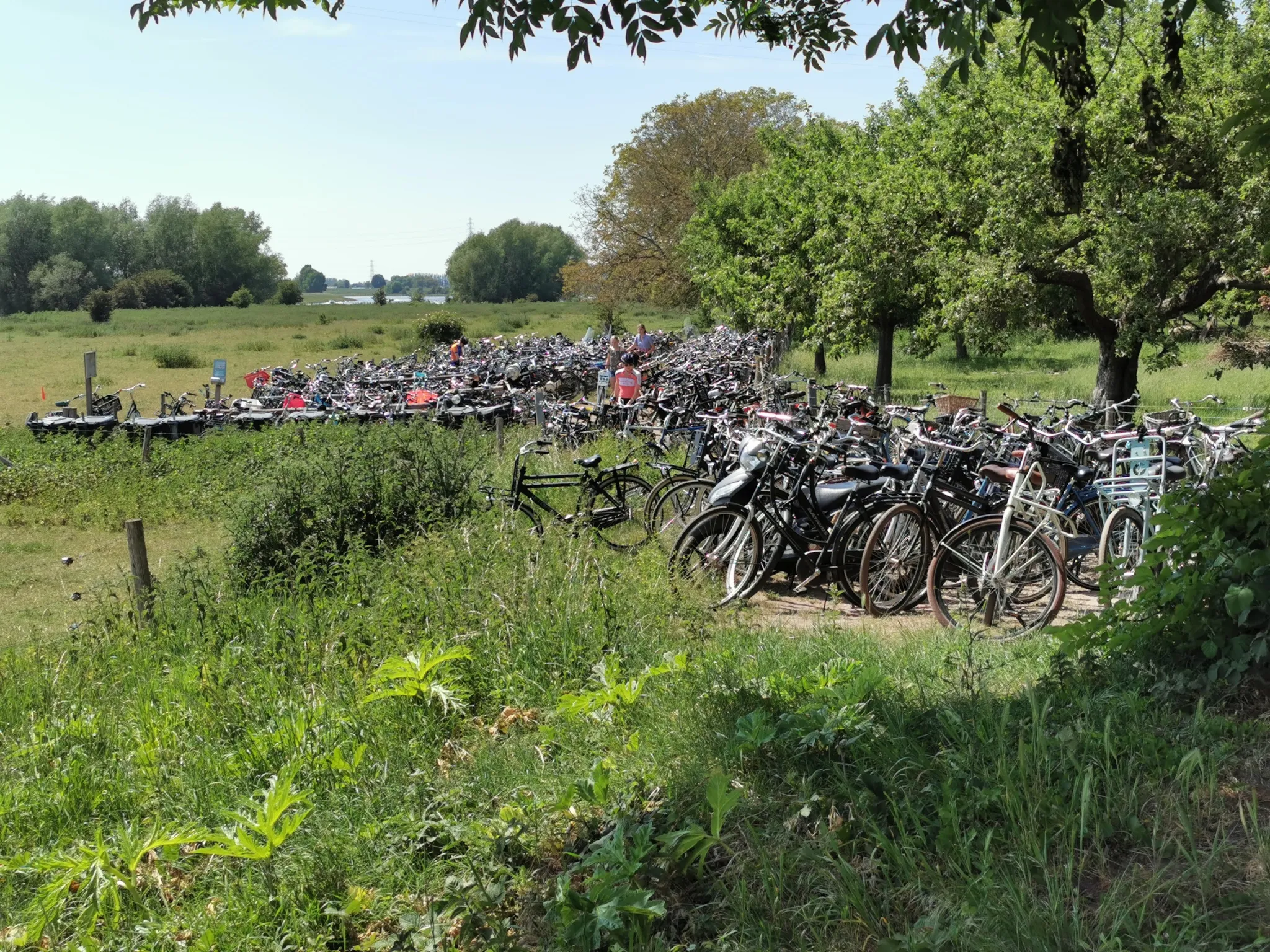 21 05 druk rijn