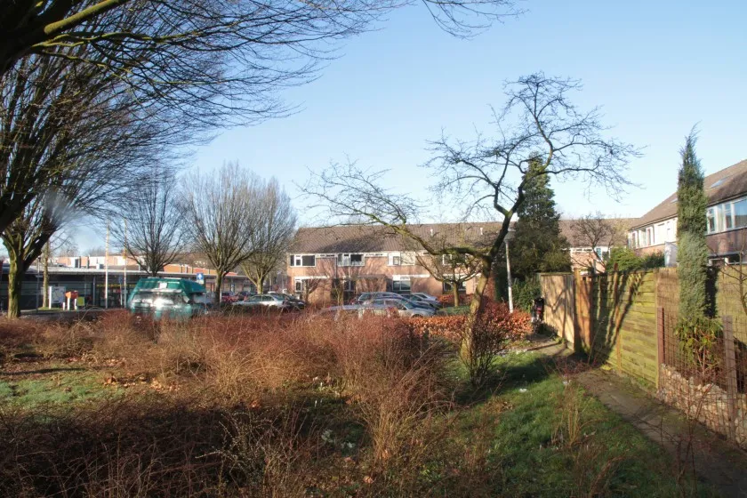 foto tarthorst 2018