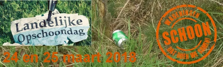 opschoondag