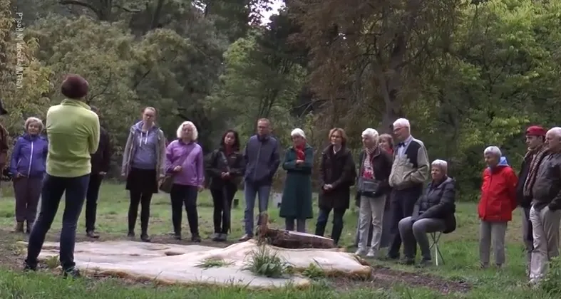 verhalenwandeling