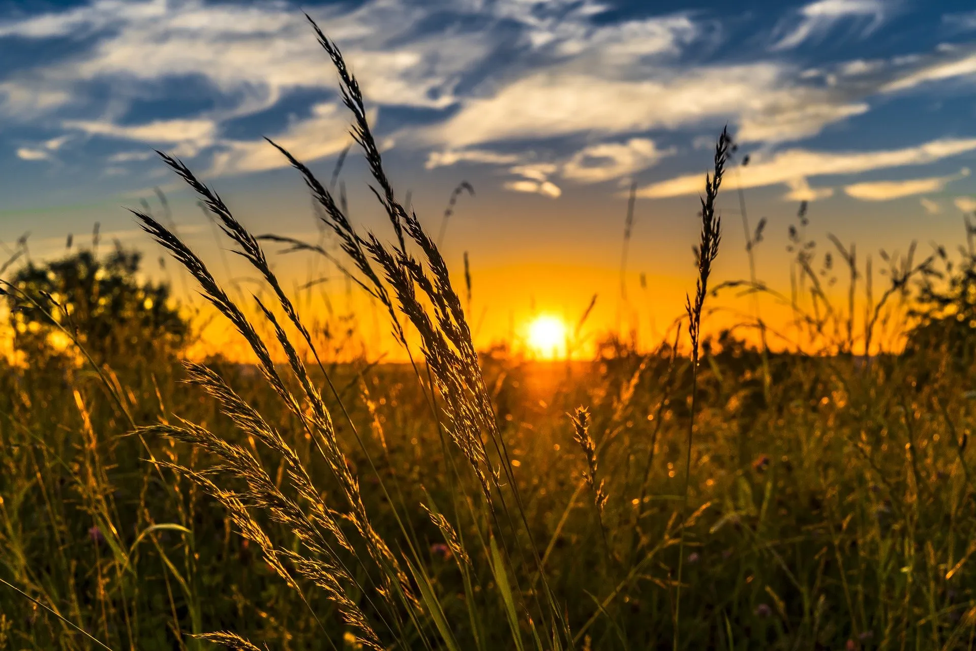 zomer zonsondergang felix mittermeier pixabay