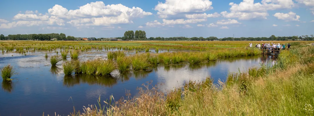 ‘Het Binnenveld'_losse afbeelding.rendition.1280.2048