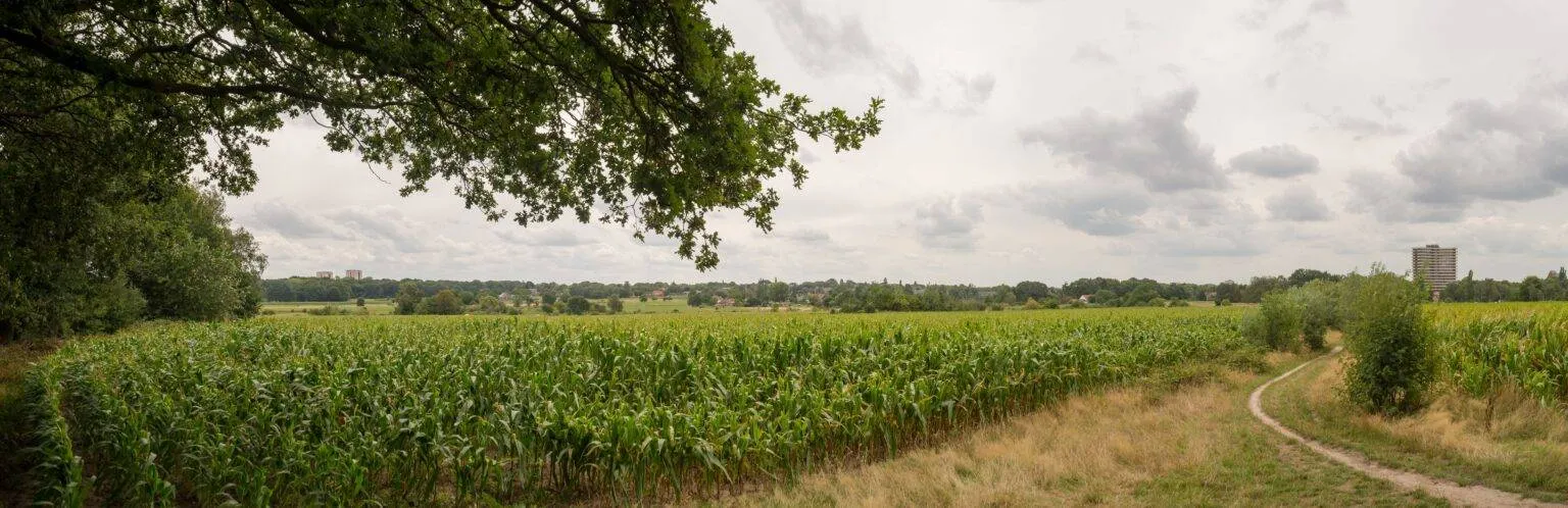 De-Eng-vacature-TAWE-1-1536x498