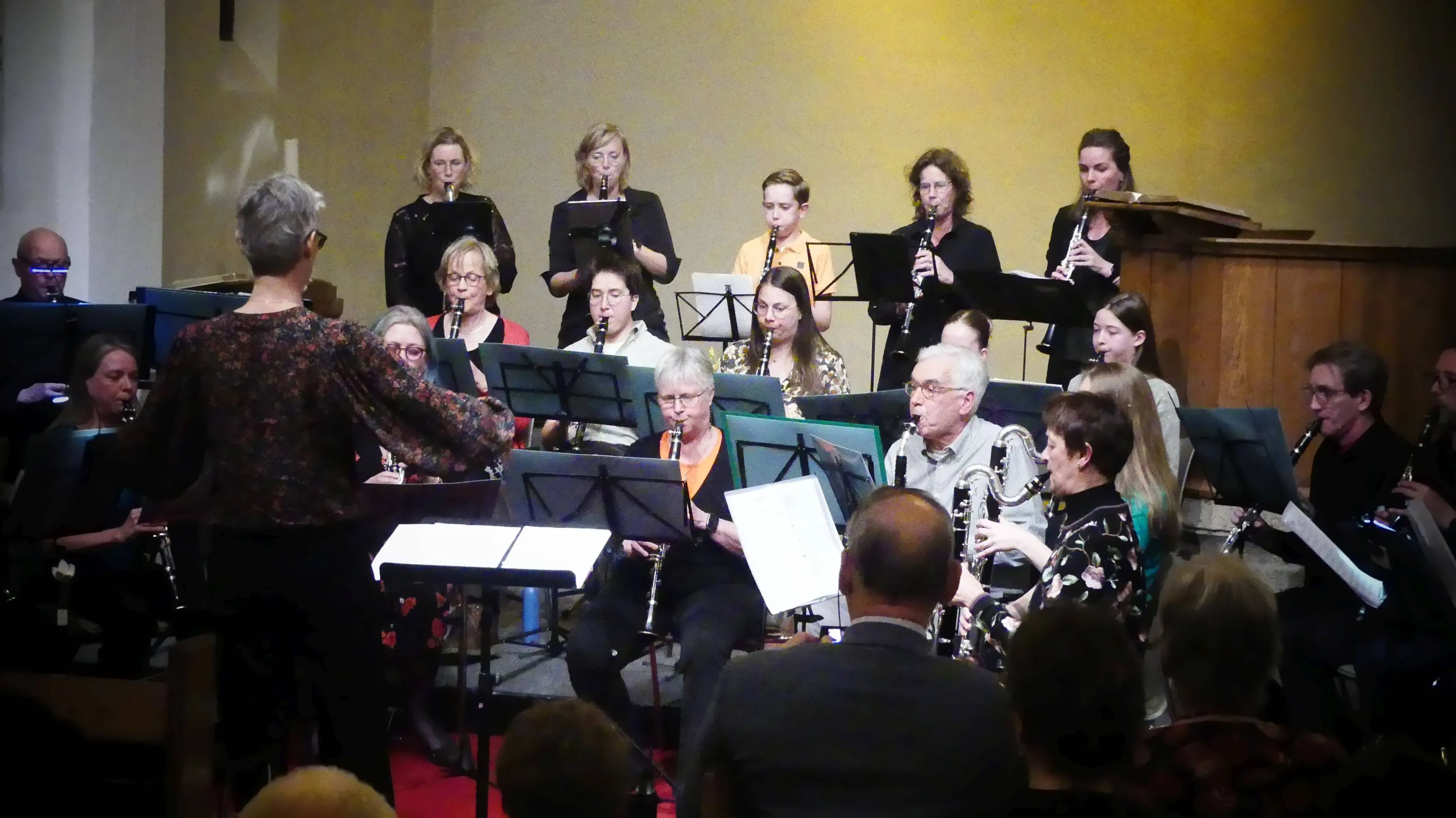 Gelderse Klarinetstudio.png