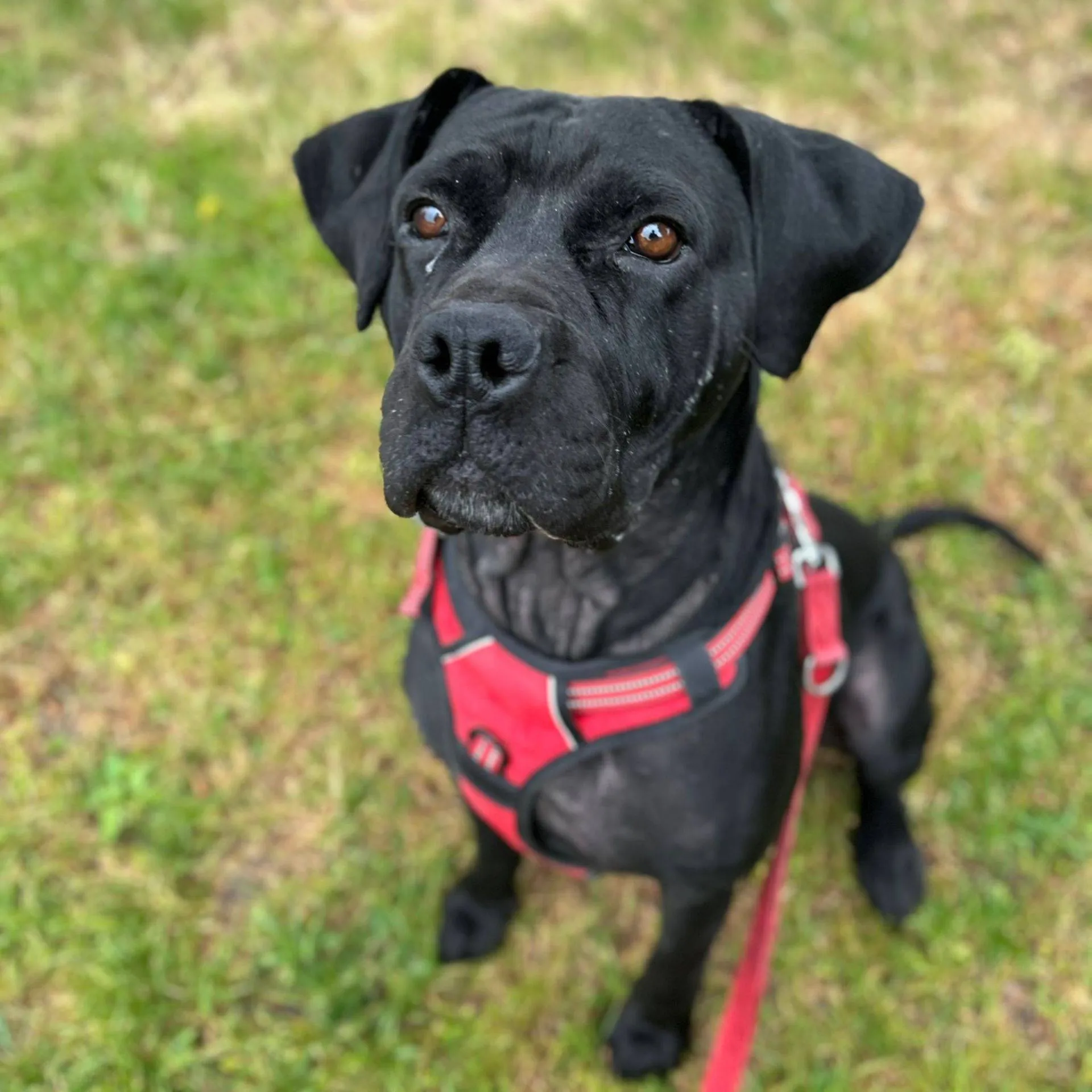 Bailey-202520838-1-1