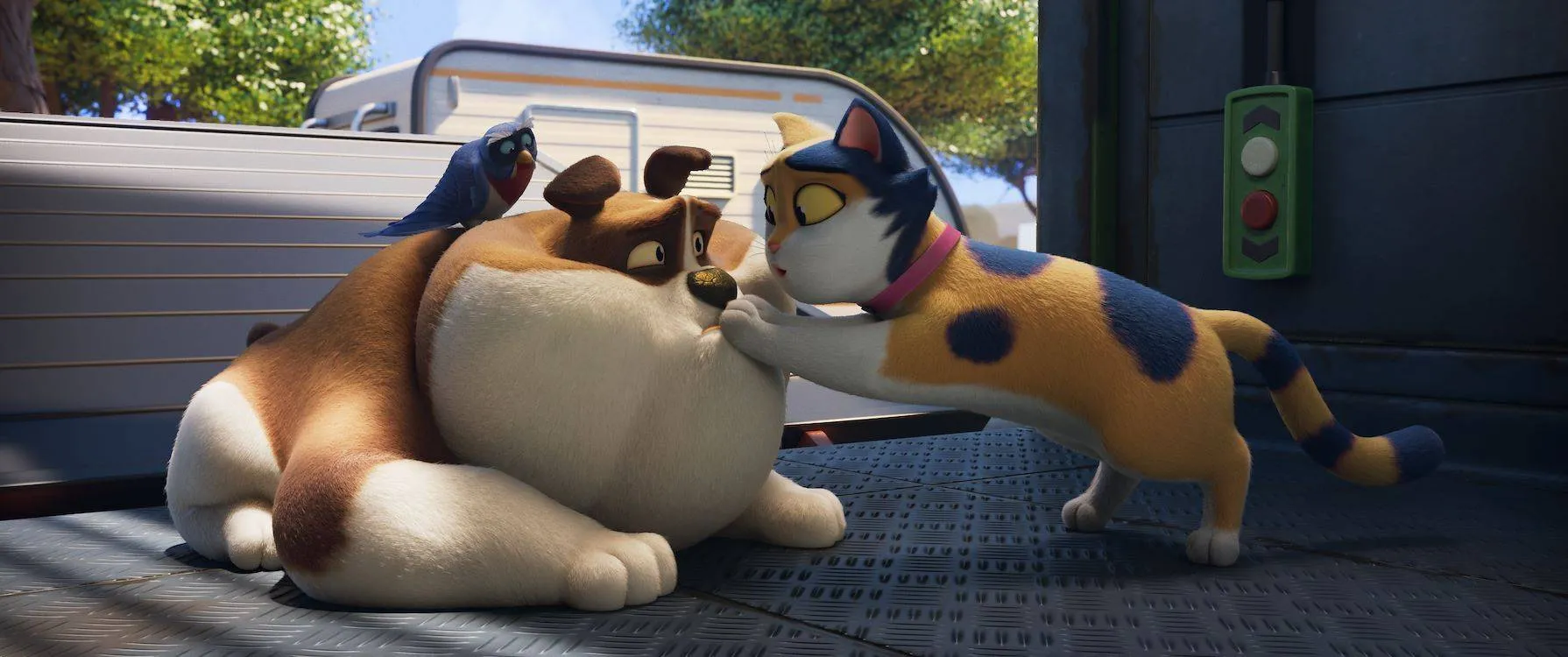 Miss-Moxy_st_2_jpg_sd-low