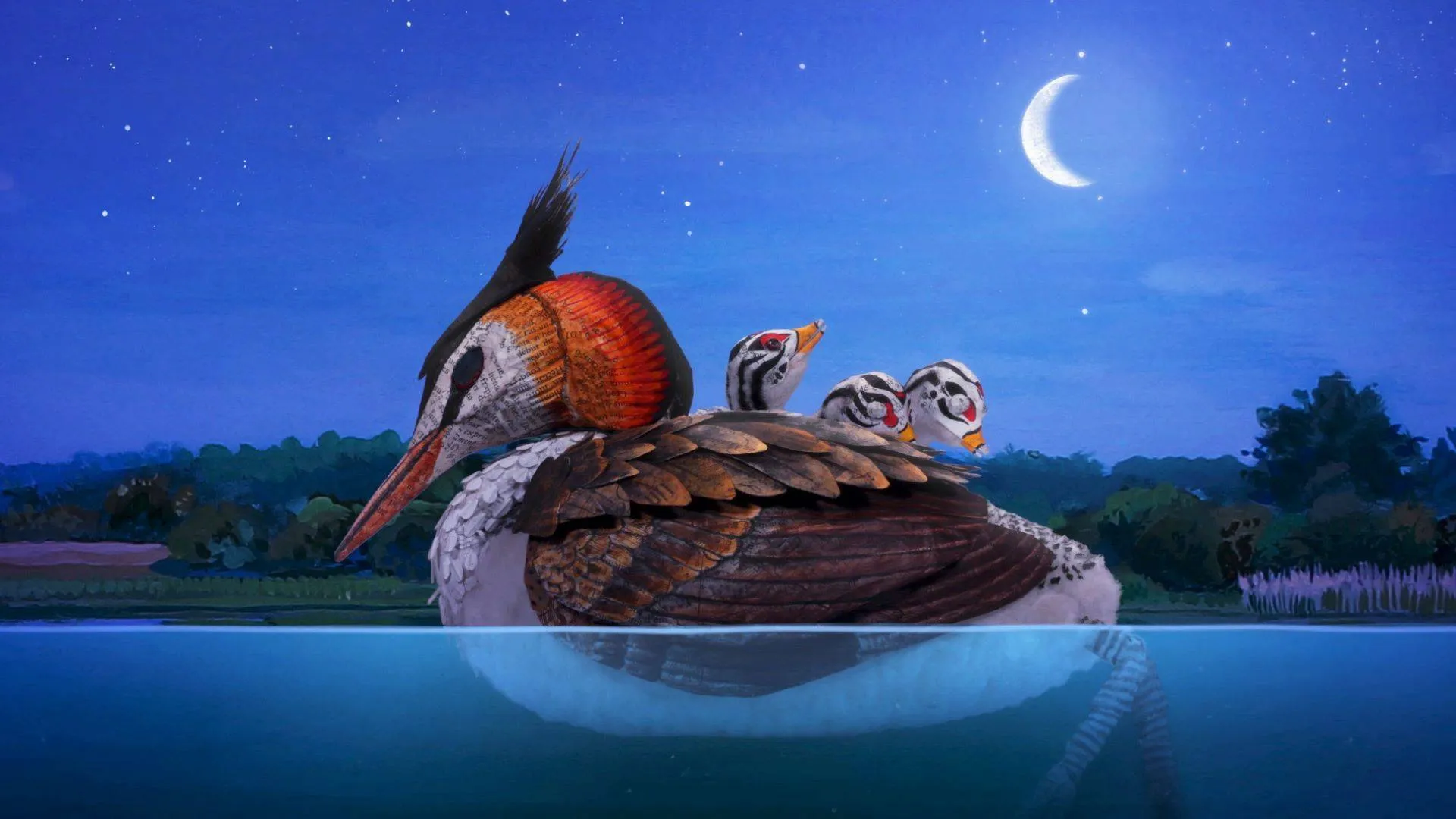 Hallo-Wereld-_st_2_jpg_sd-high