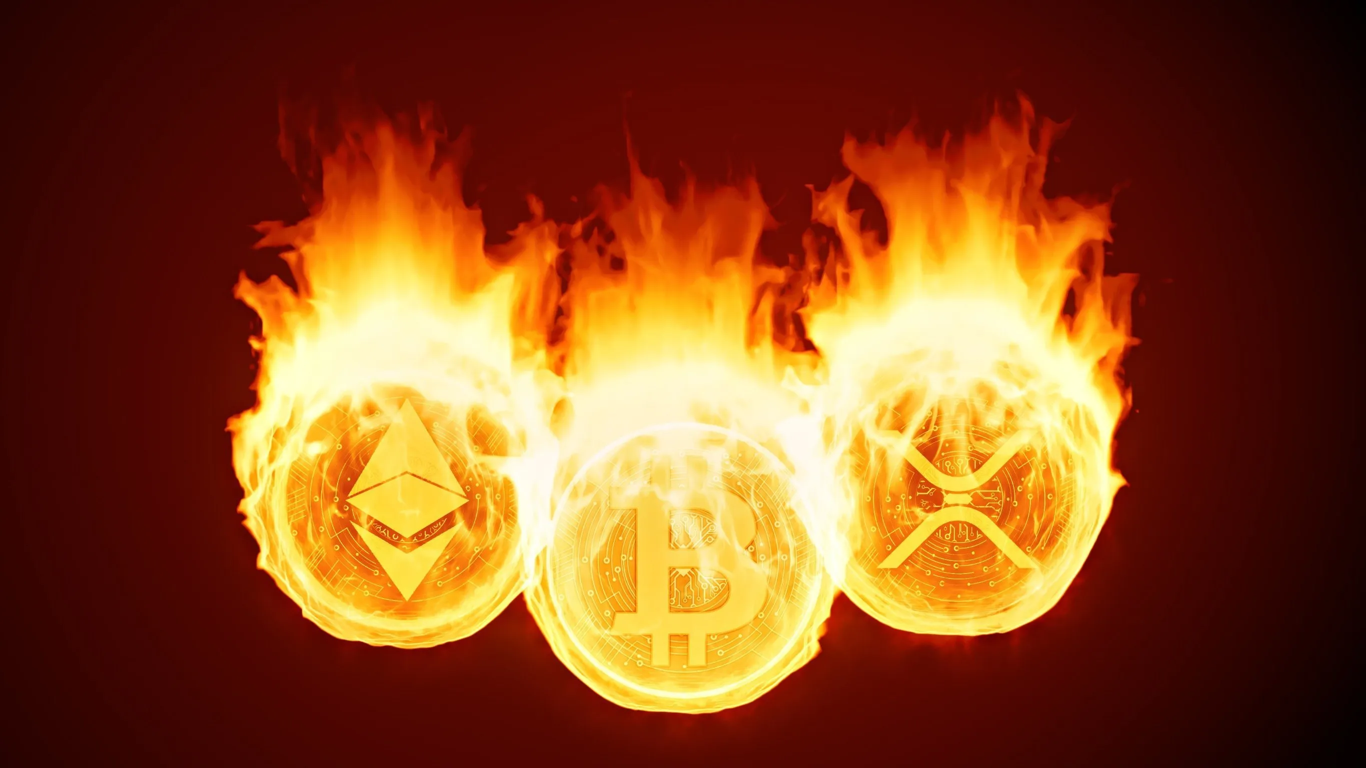 'Crypto is geen zeepbel. Het is zwendel en oplichterij'