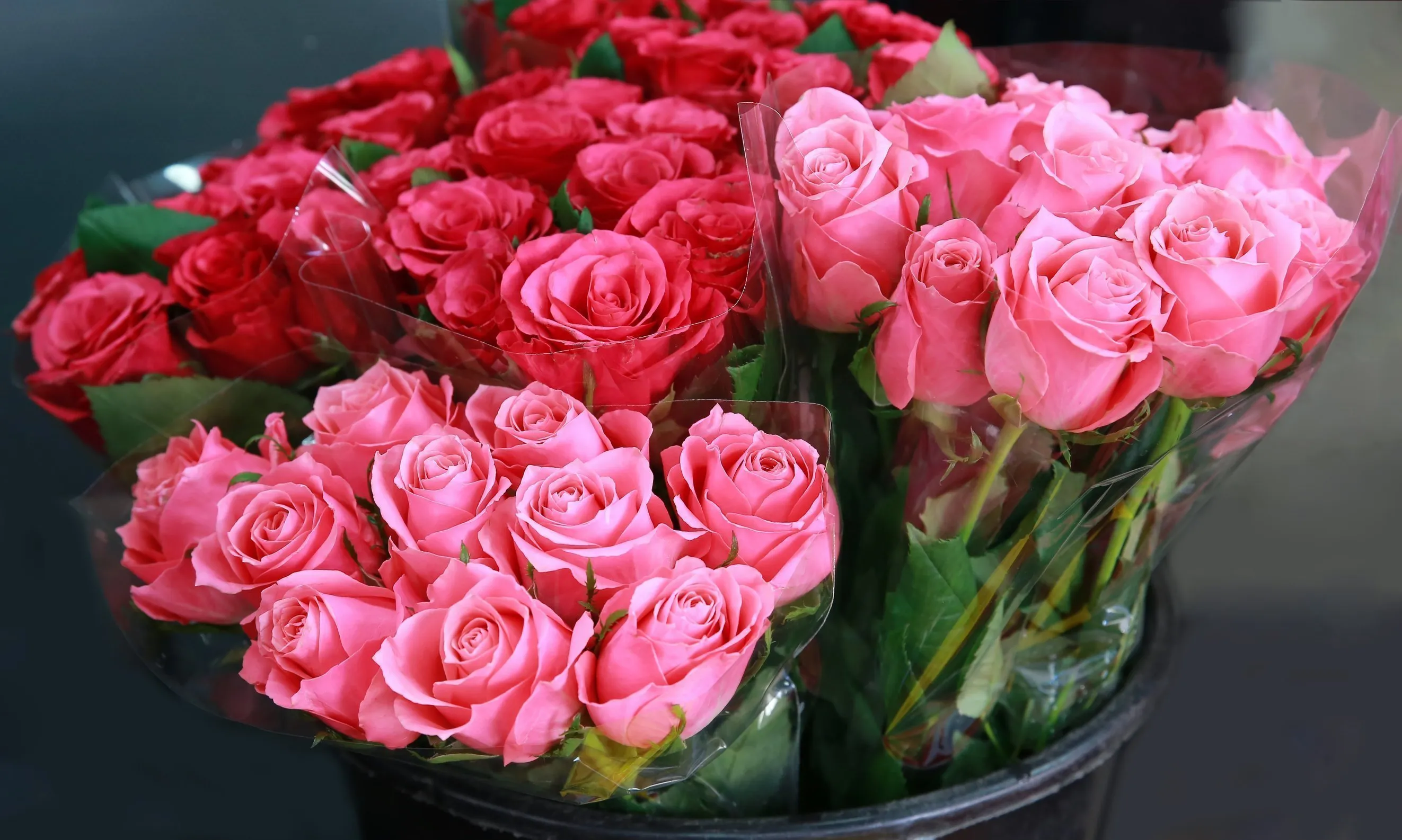 Bloemen zitten vol gif