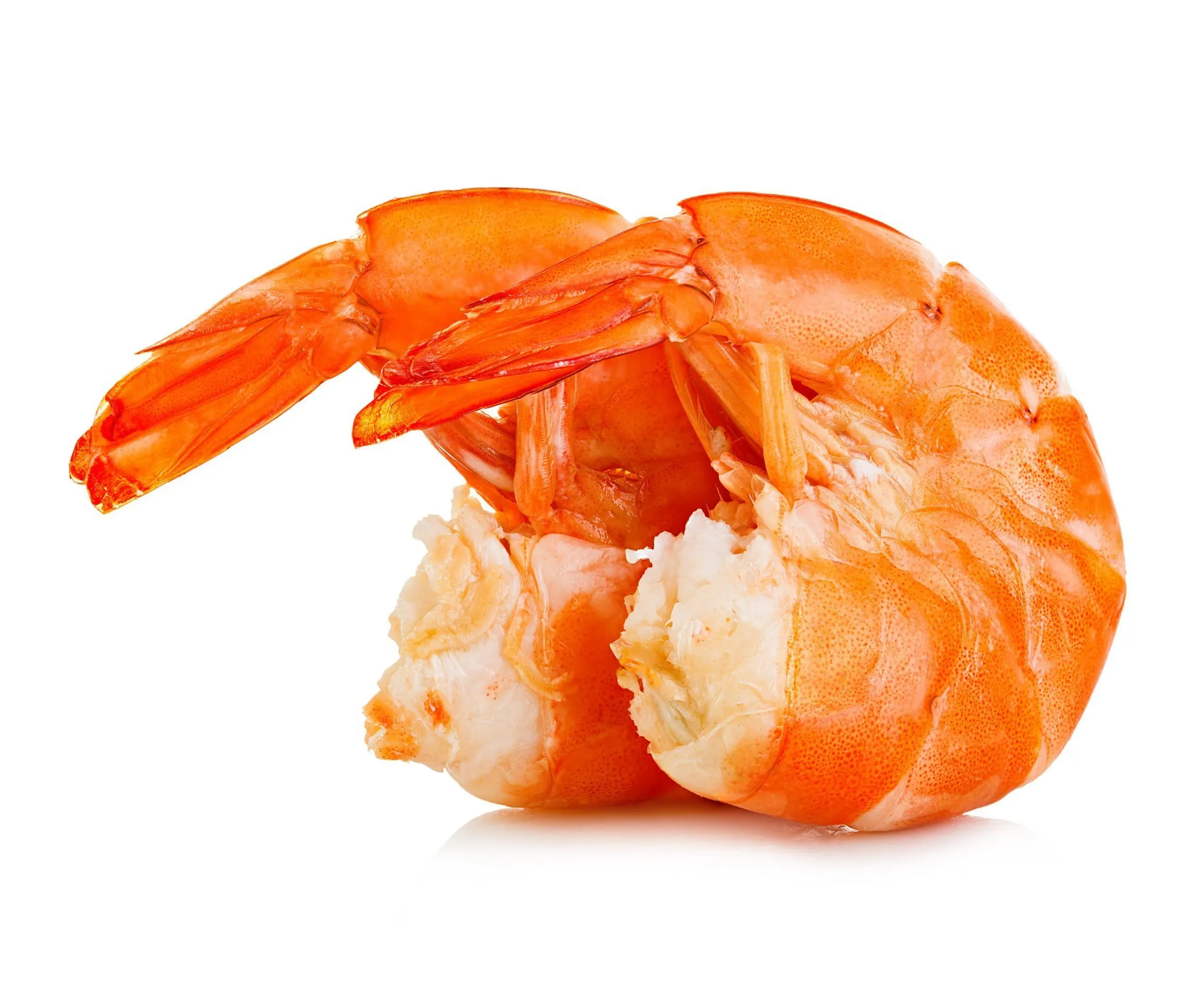 De 5 vissoorten die je niet moet eten