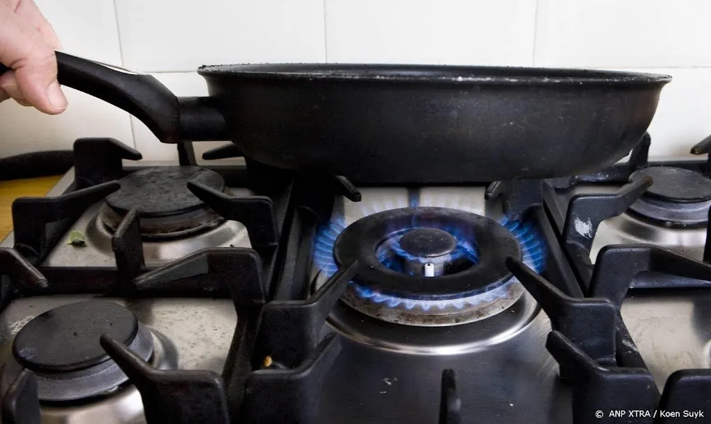 70.000 kinderen hebben mogelijk astmasymptomen door koken op gas