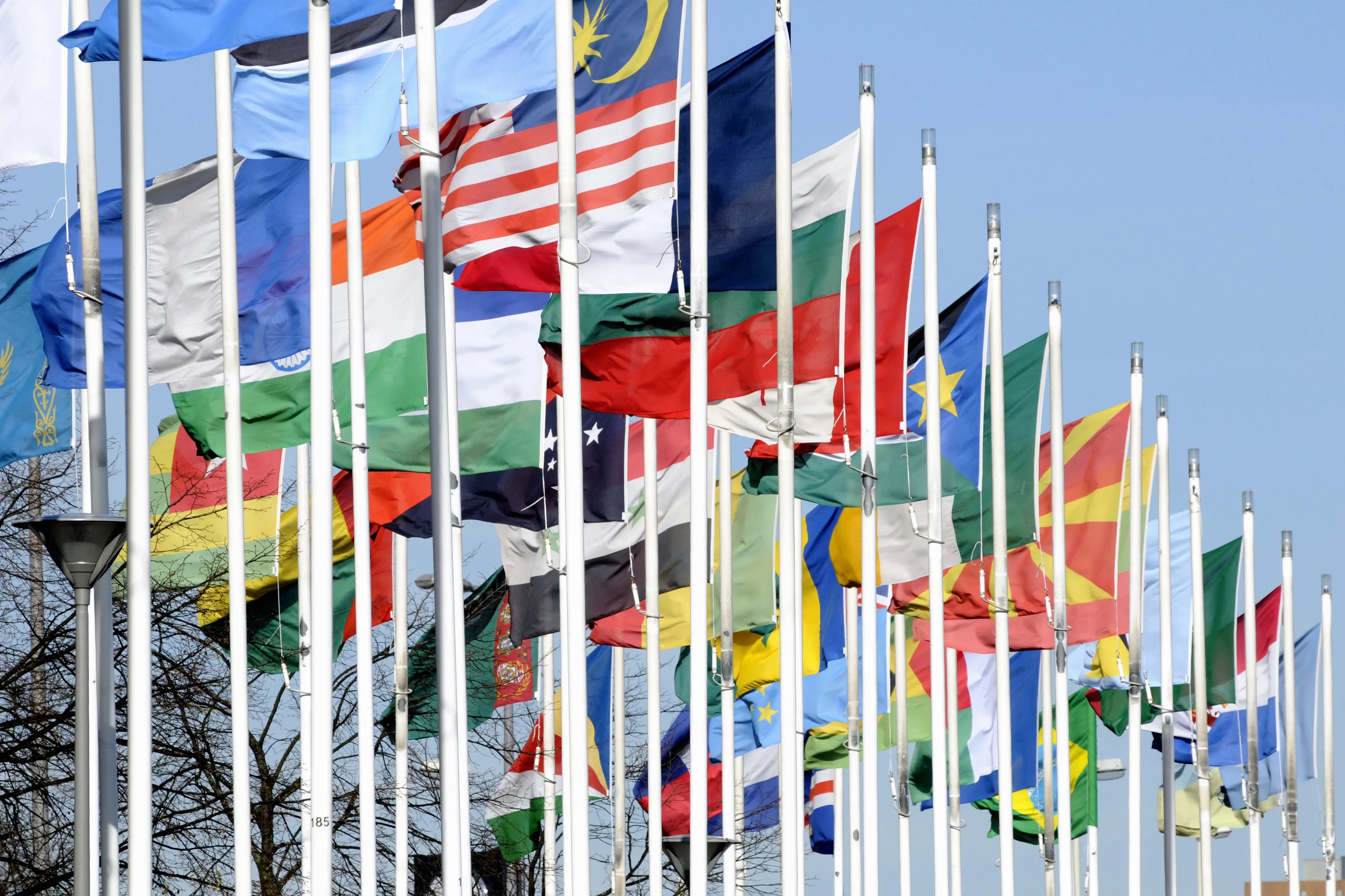 De opkomst van Afrika en ondergang van Europa: de wereldwijde bevolkingsgroei in kaart