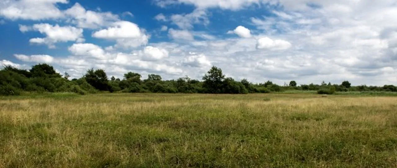 WNF: 'Nederlandse natuur dramatisch verslechterd'