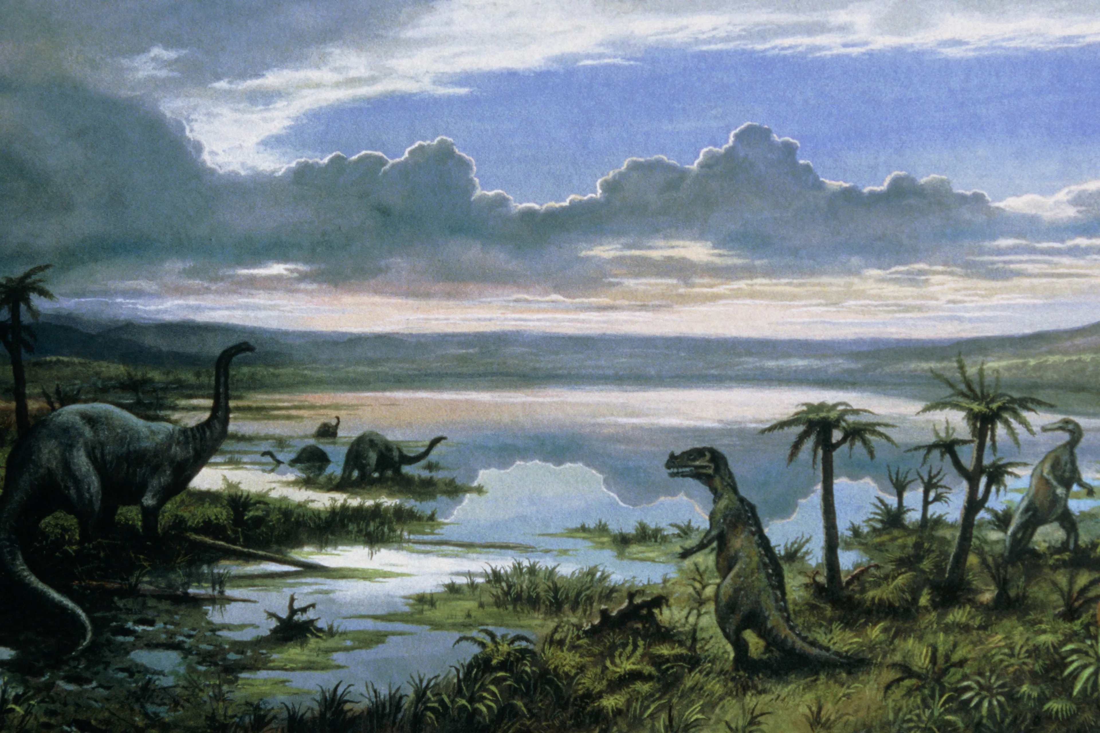 Dinosaurussen hadden het al lang voor meteorietinslag heel moeilijk