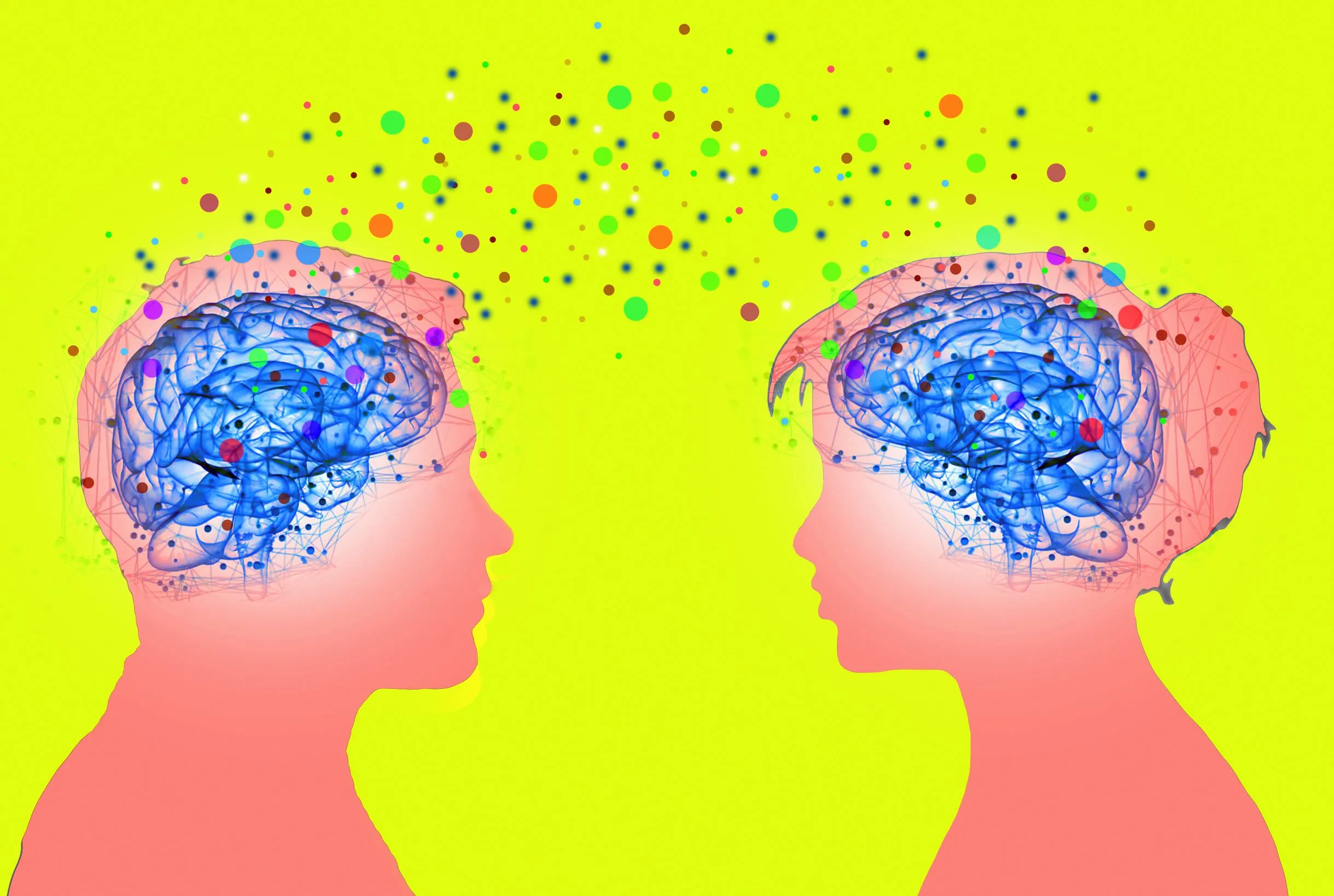 Kleinere hersenen, zelfde IQ: de grote voordelen van het vrouwenbrein