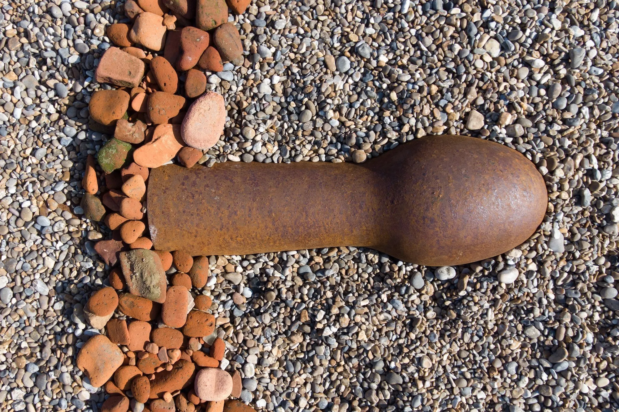 7 dingen die je niet weet over de penis