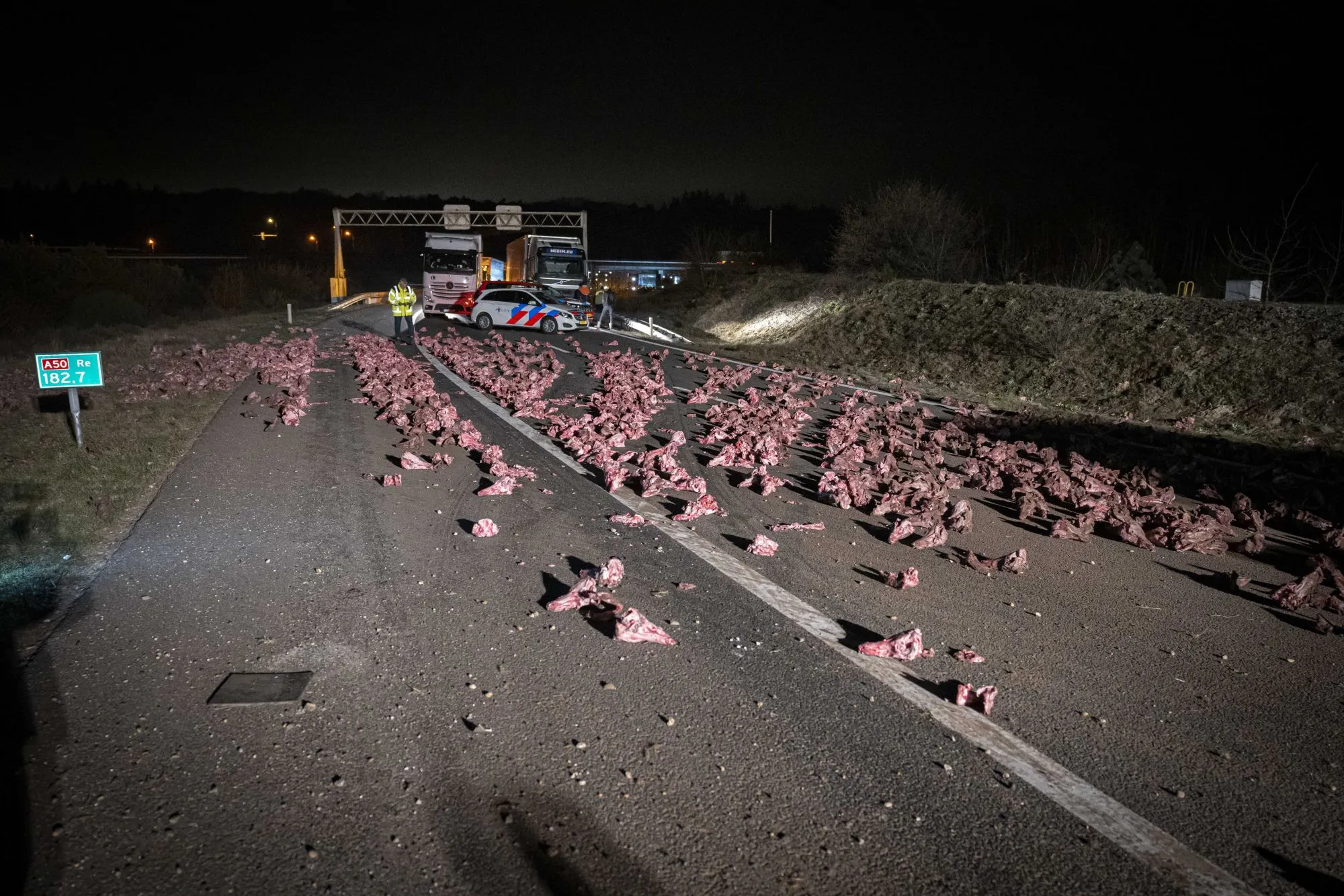 Zien: vrachtwagen verliest 10.000 kilo slachtafval, auto wordt geraakt door rondvliegend vlees