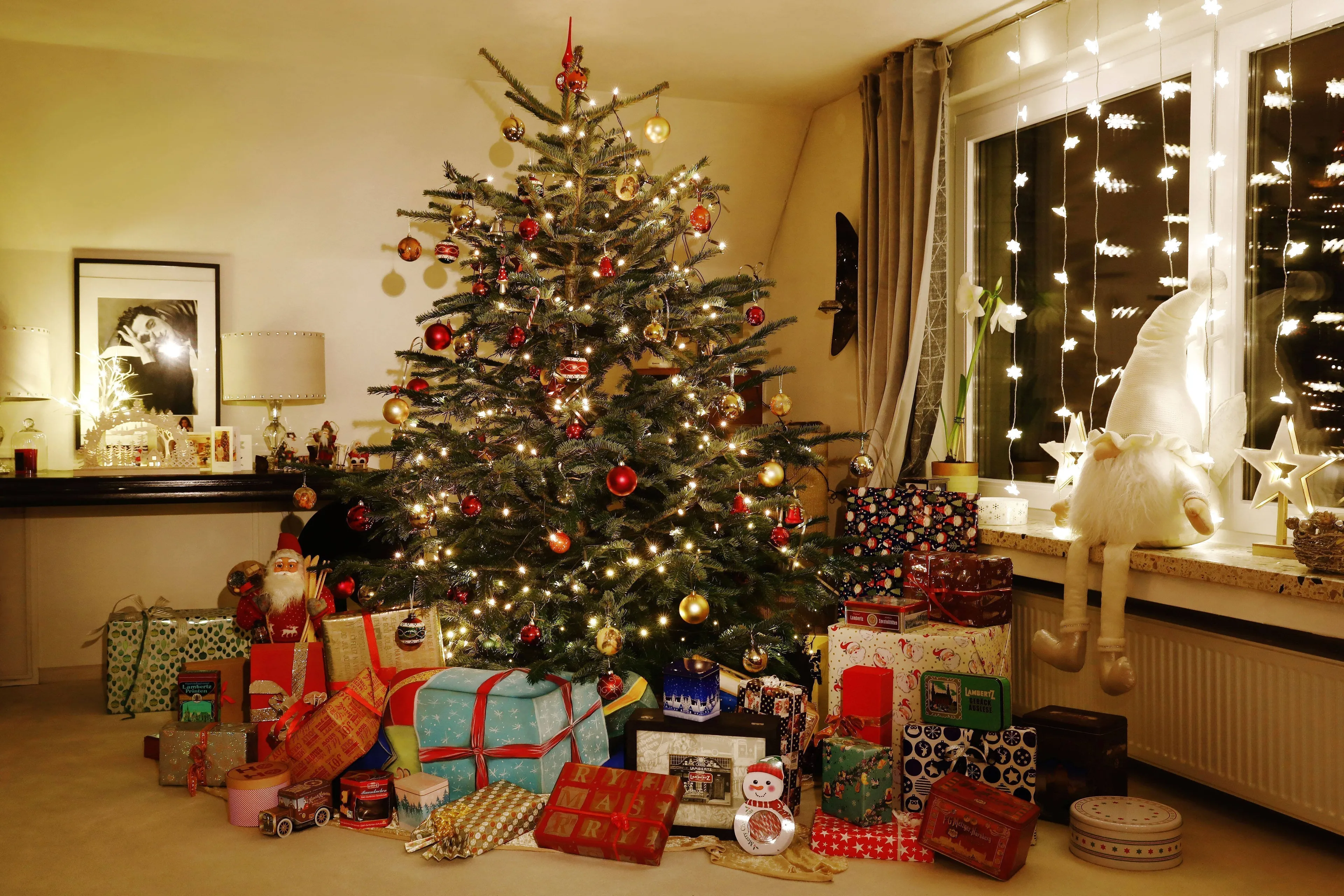 Allemaal beestjes: Samen met de kerstboom haal je een berg ongedierte in huis