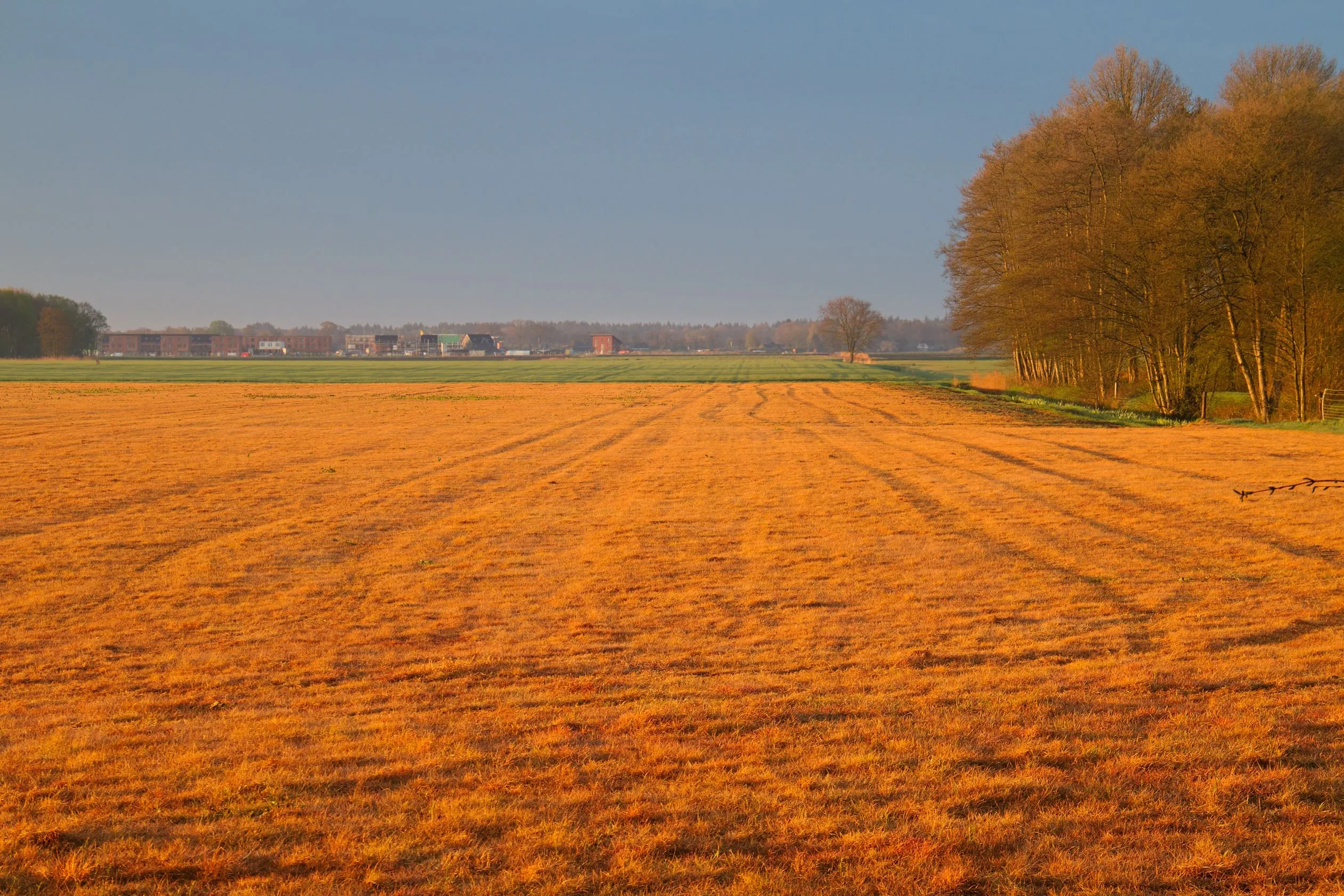 Europese Commissie gaat controversieel landbouwgif glyfosaat voor 15 jaar goedkeuren