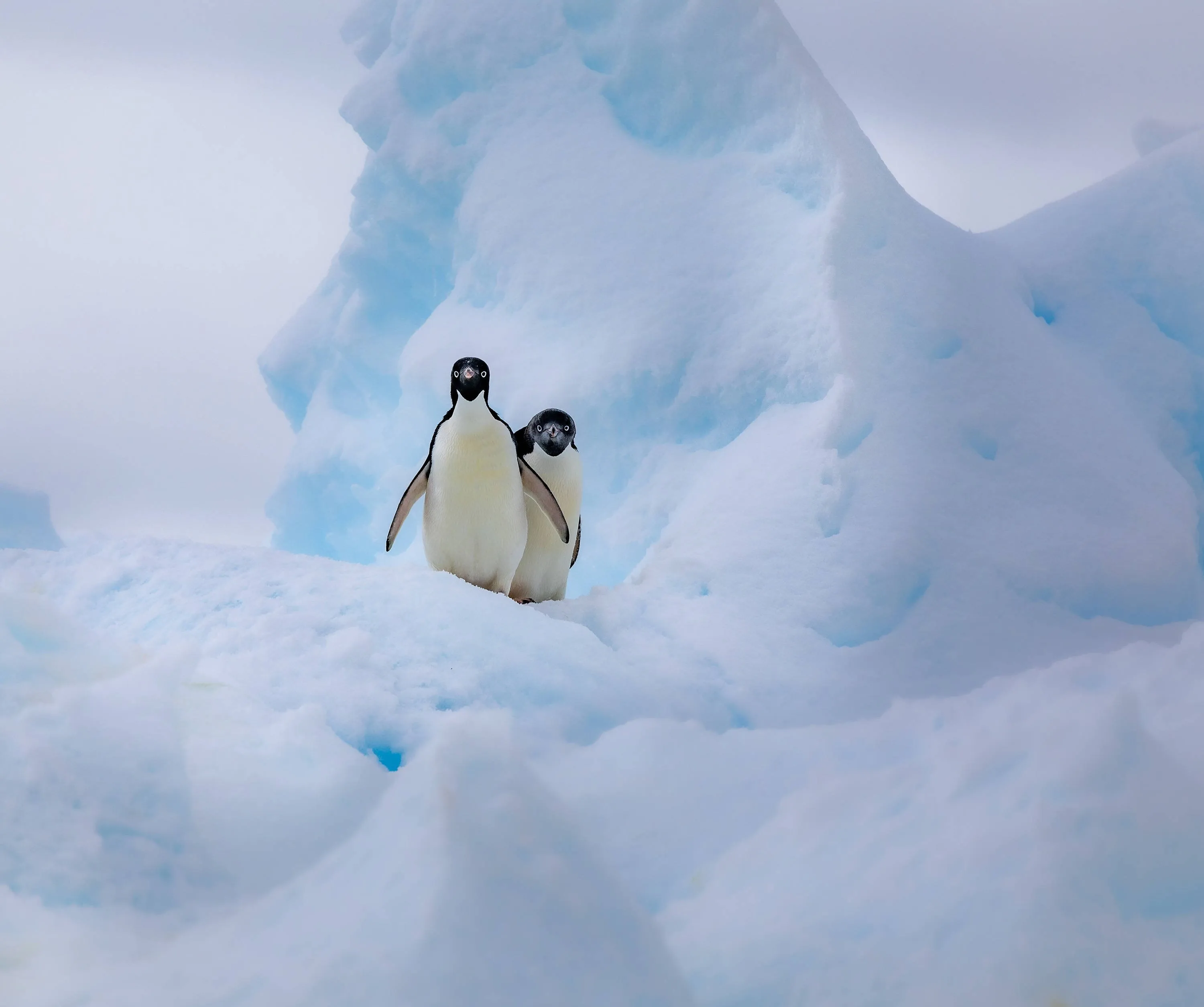 Het is onvermijdelijk: zelfs als CO2-uitstoot nu naar nul gaat, smelt ijs op Antarctica en stijgt zeespiegel