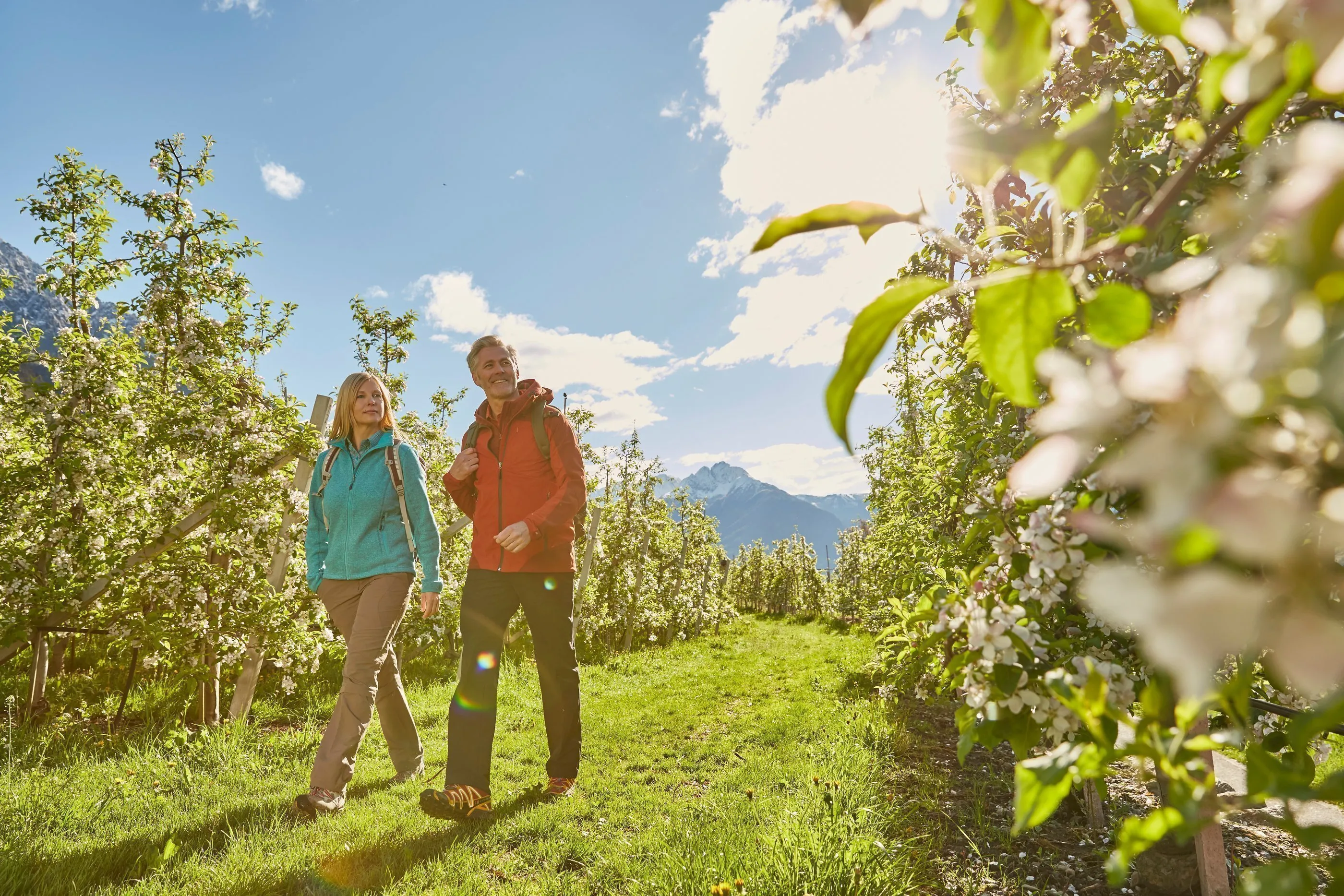 Studie: Wandelen is goed voor de hersenen, zeker op latere leeftijd