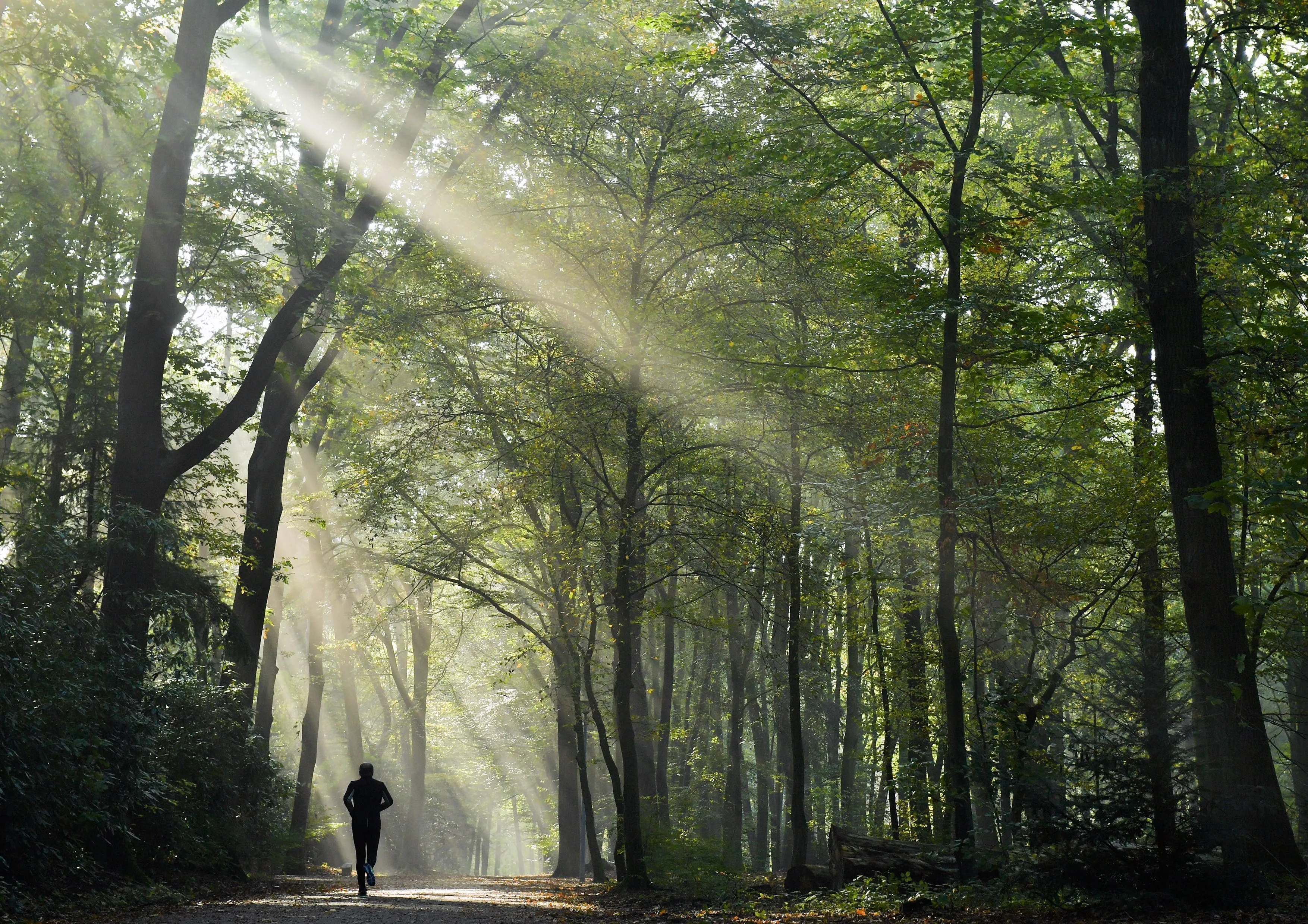Wereldprestatie: Belg Karel Sabbe finisht Barkley Marathons nipt binnen 60 uur