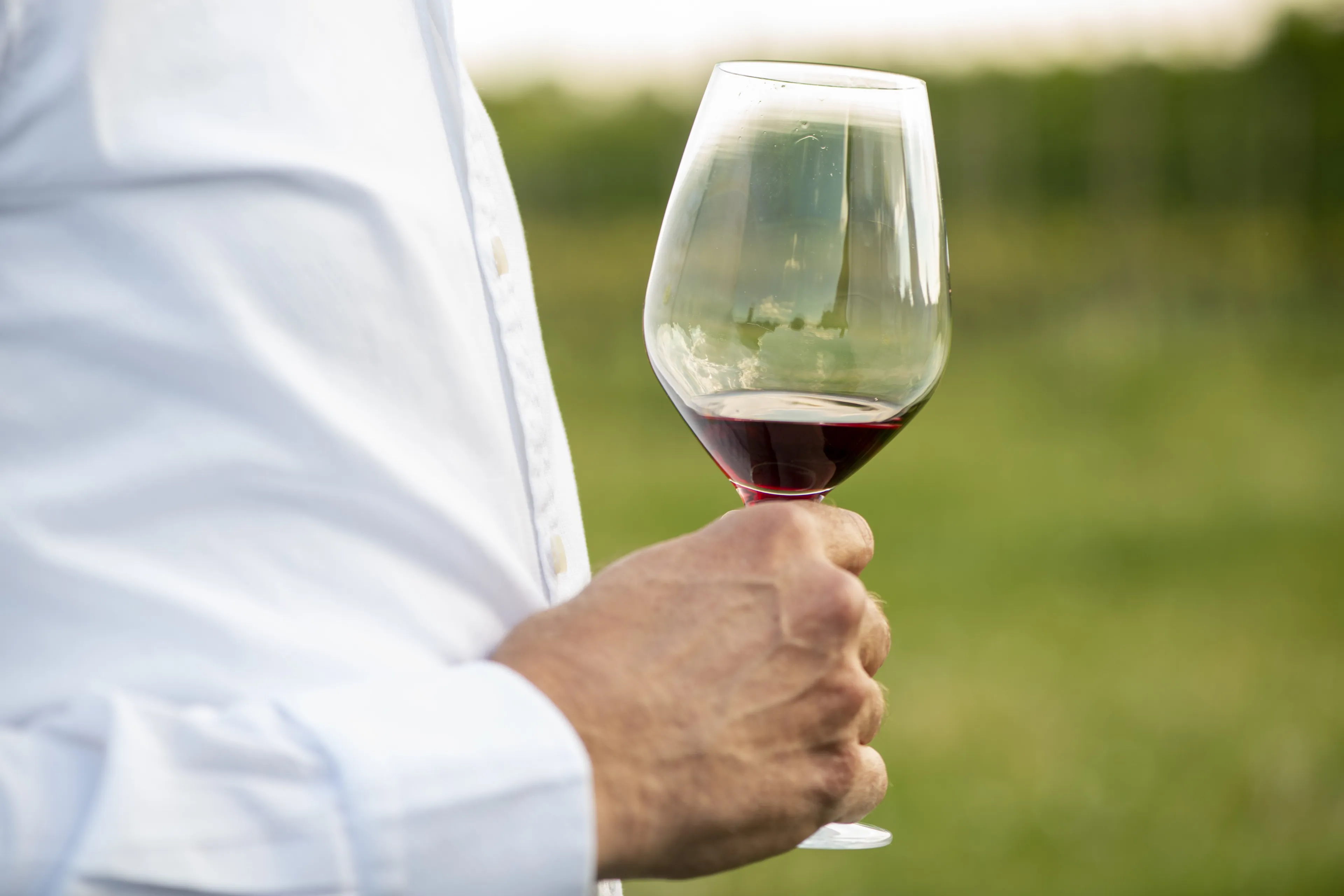 Alle ongezonde gevolgen van alcohol: 'Wie drinkt maakt chronisch te veel cortisol aan'